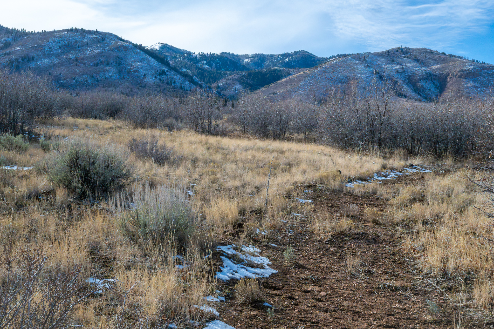 HOLIDAY OAKS ESTATES - Land