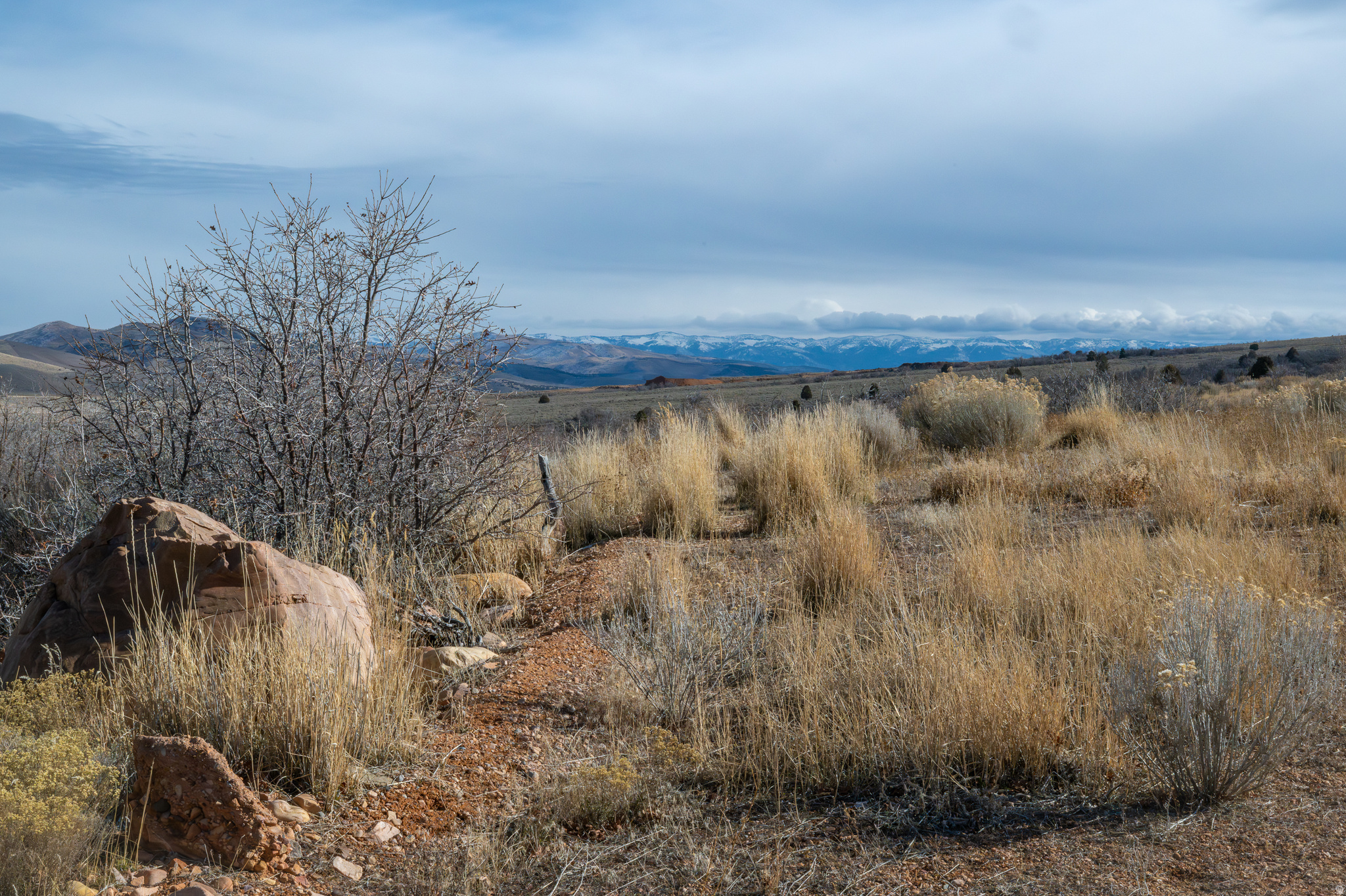 HOLIDAY OAKS ESTATES - Land