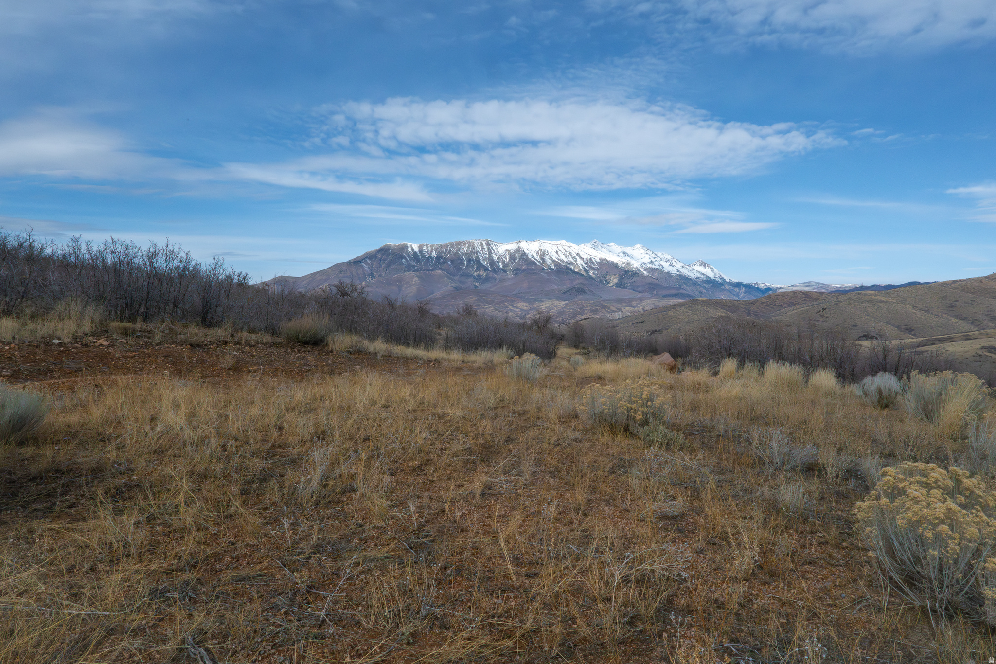 HOLIDAY OAKS ESTATES - Land