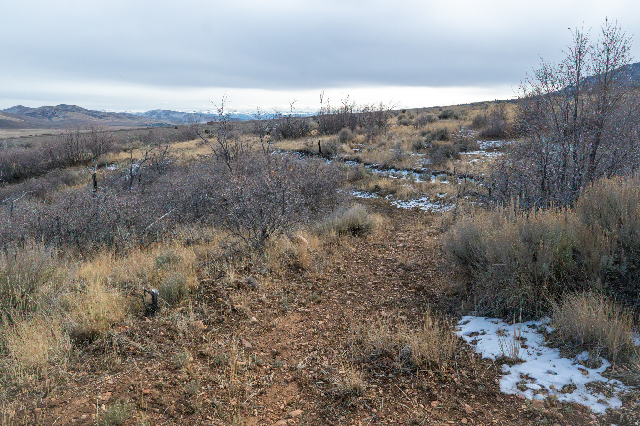 HOLIDAY OAKS ESTATES - Land