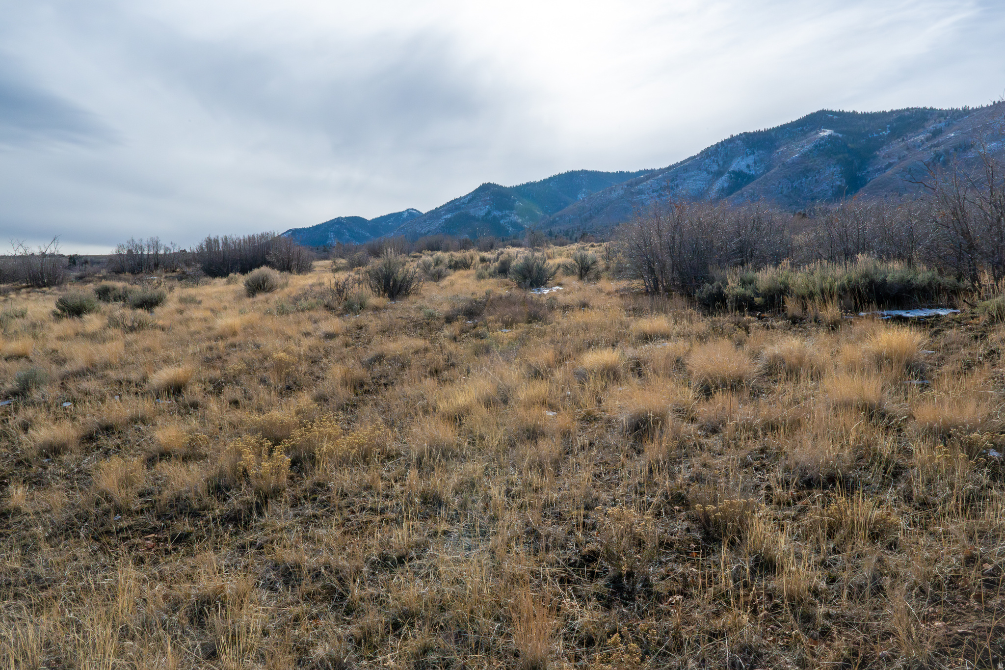 HOLIDAY OAKS ESTATES - Land