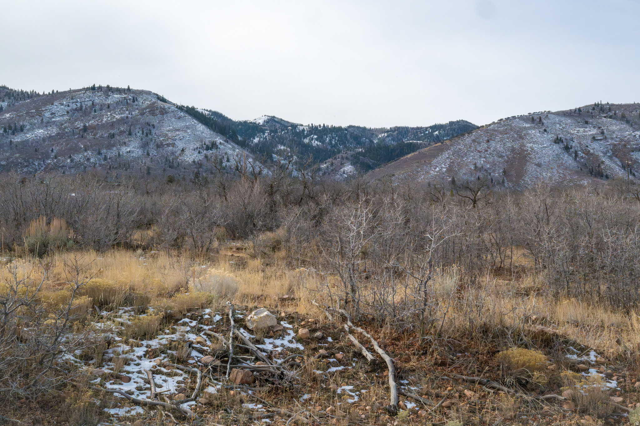 HOLIDAY OAKS ESTATES - Land