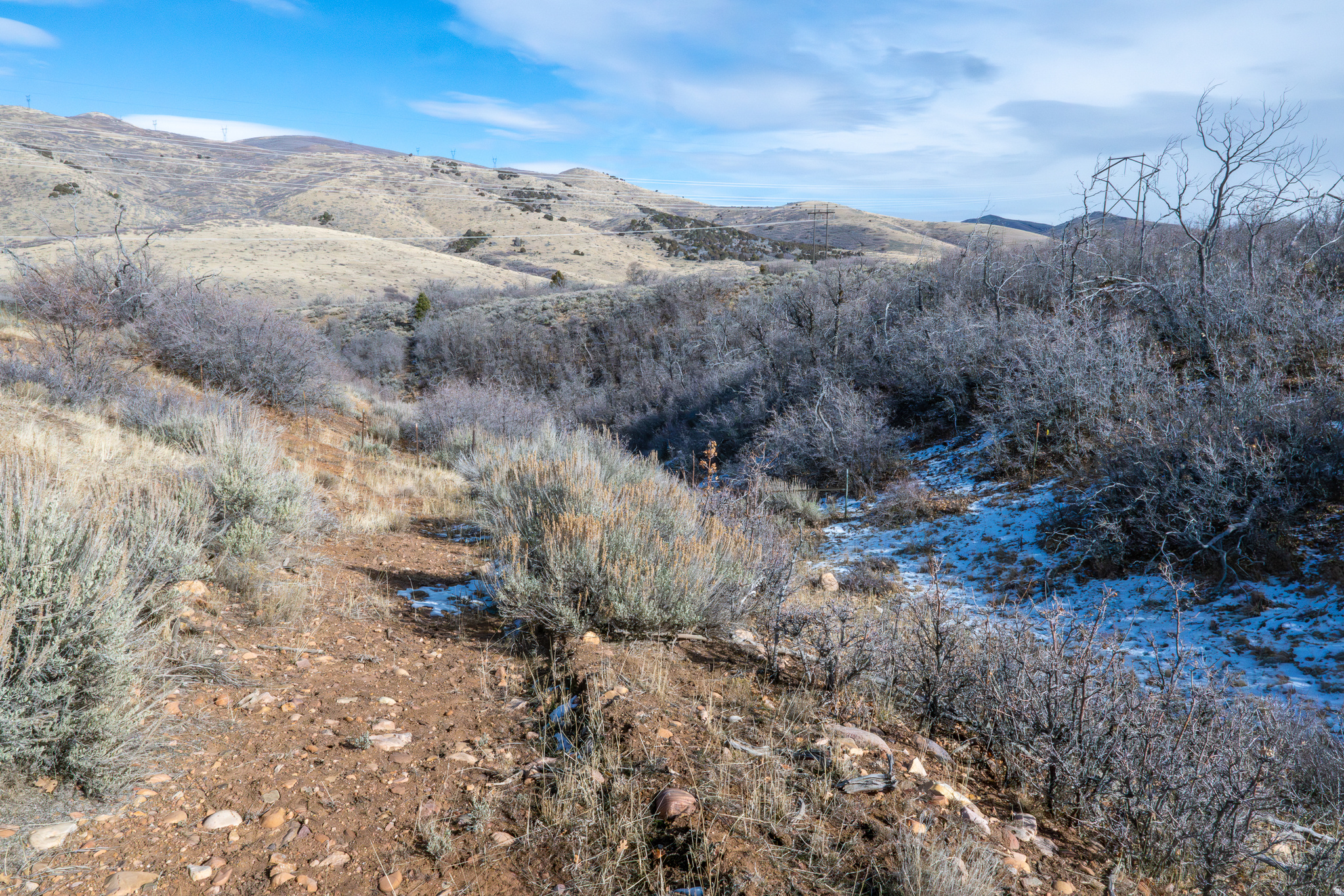 HOLIDAY OAKS ESTATES - Land