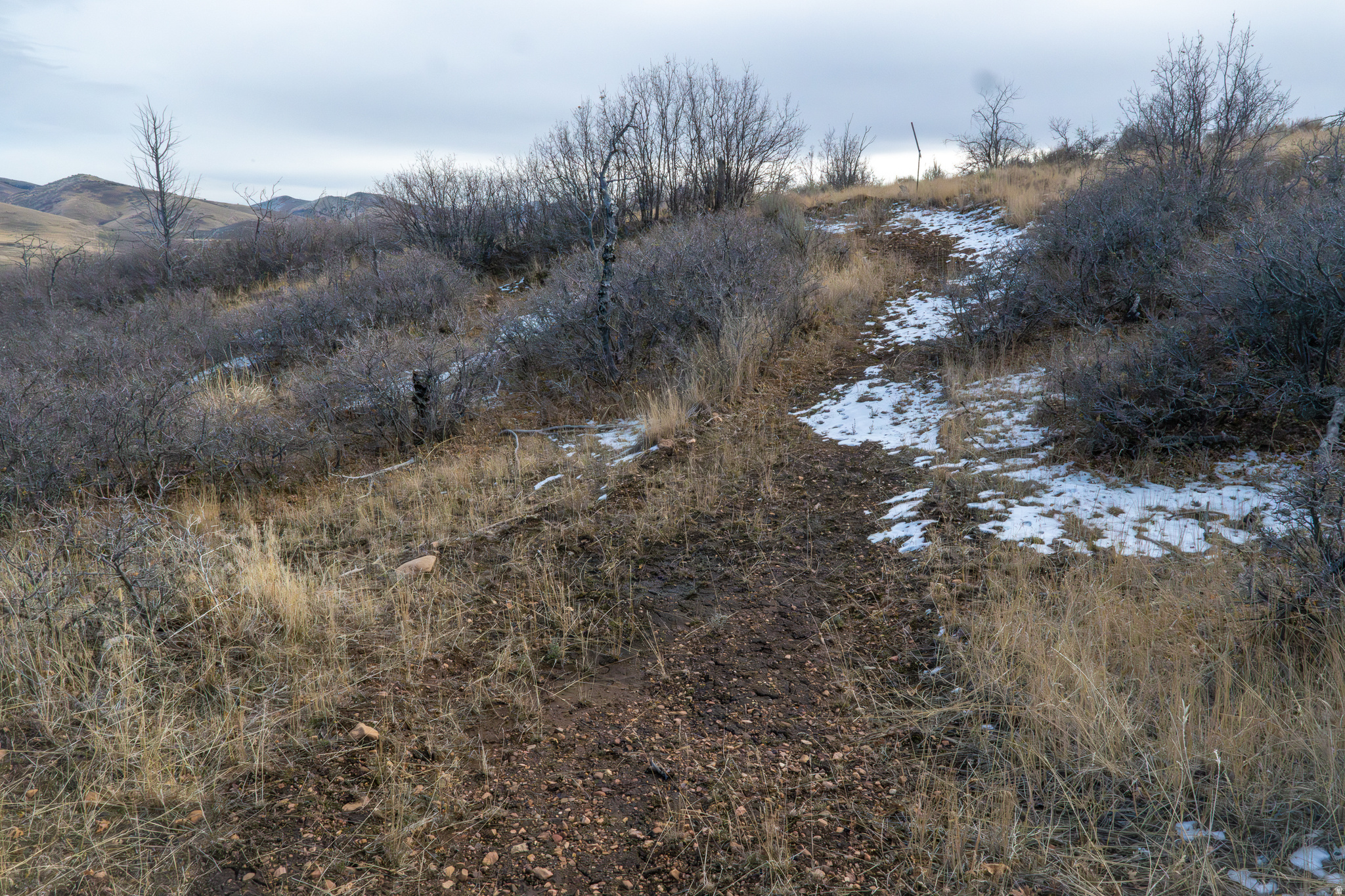 HOLIDAY OAKS ESTATES - Land