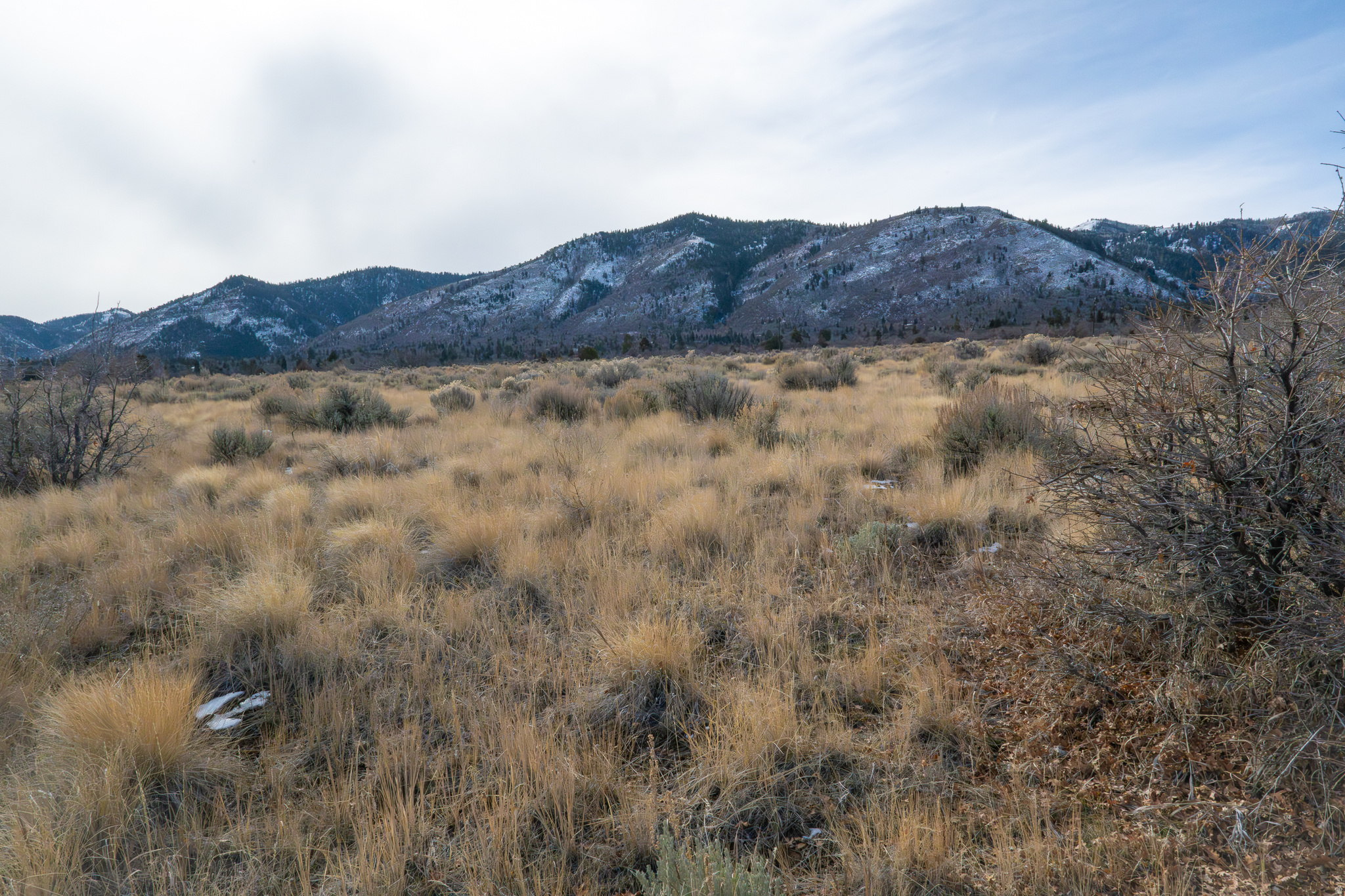 HOLIDAY OAKS ESTATES - Land