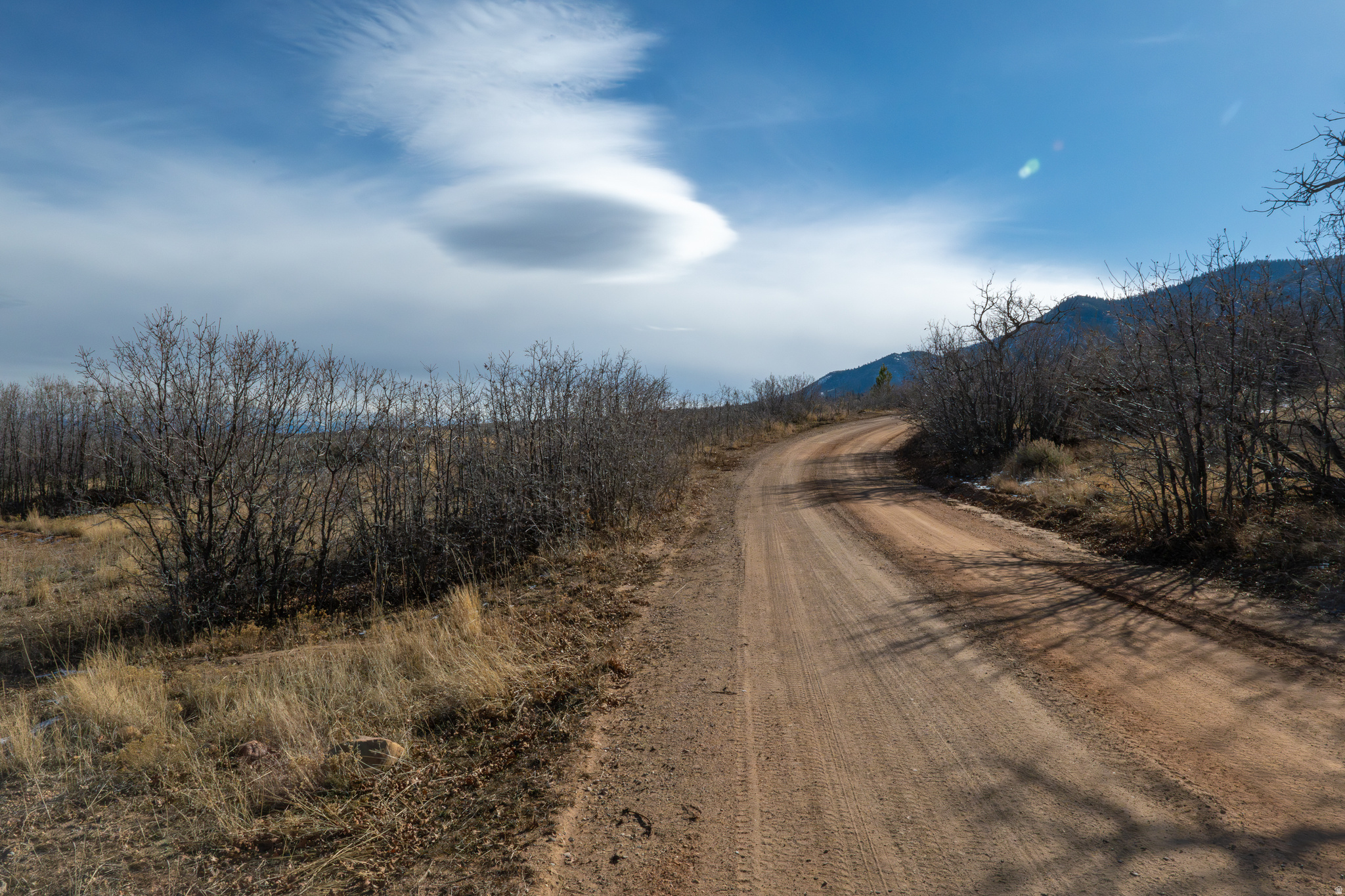 HOLIDAY OAKS ESTATES - Land