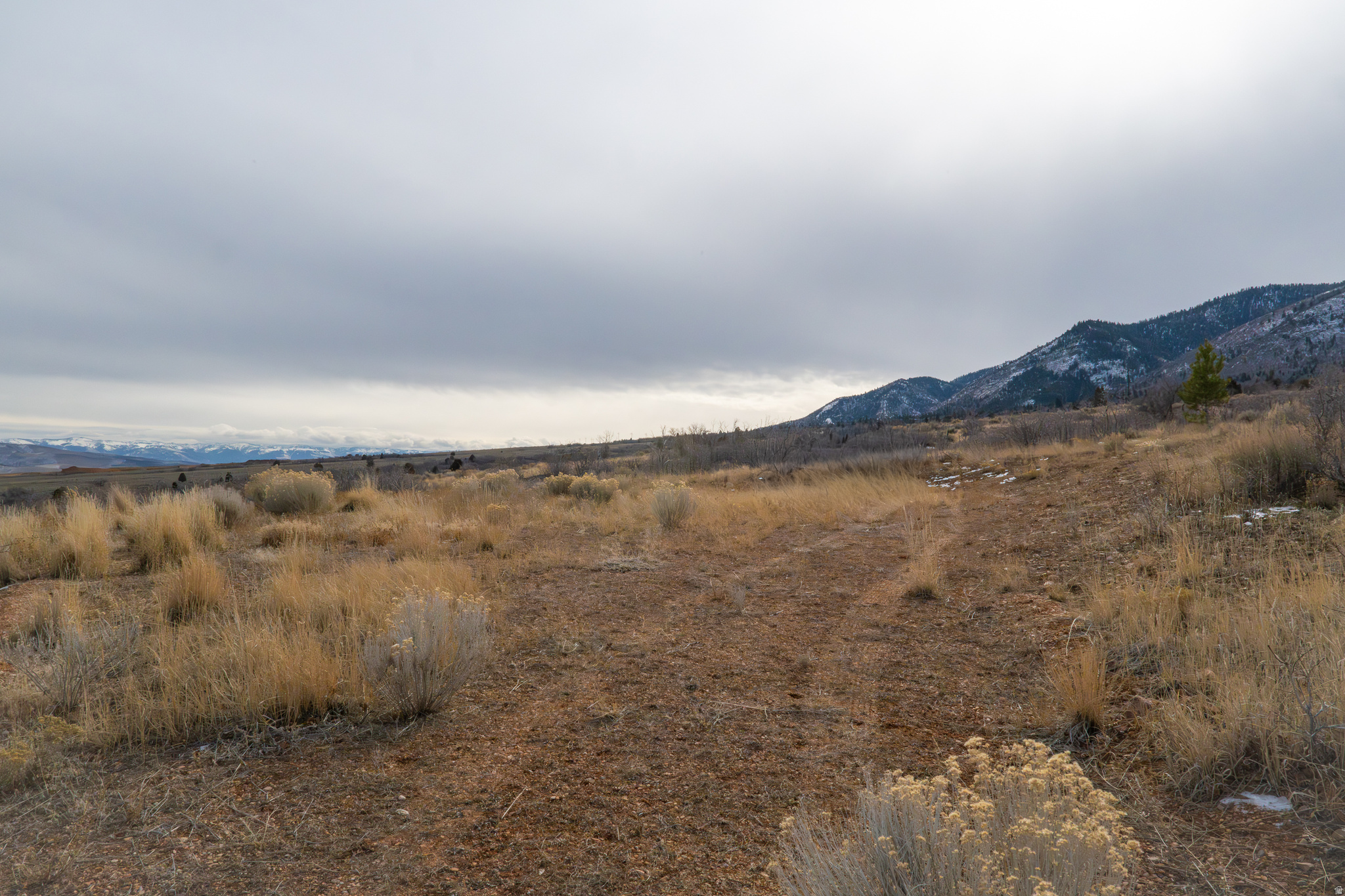 HOLIDAY OAKS ESTATES - Land