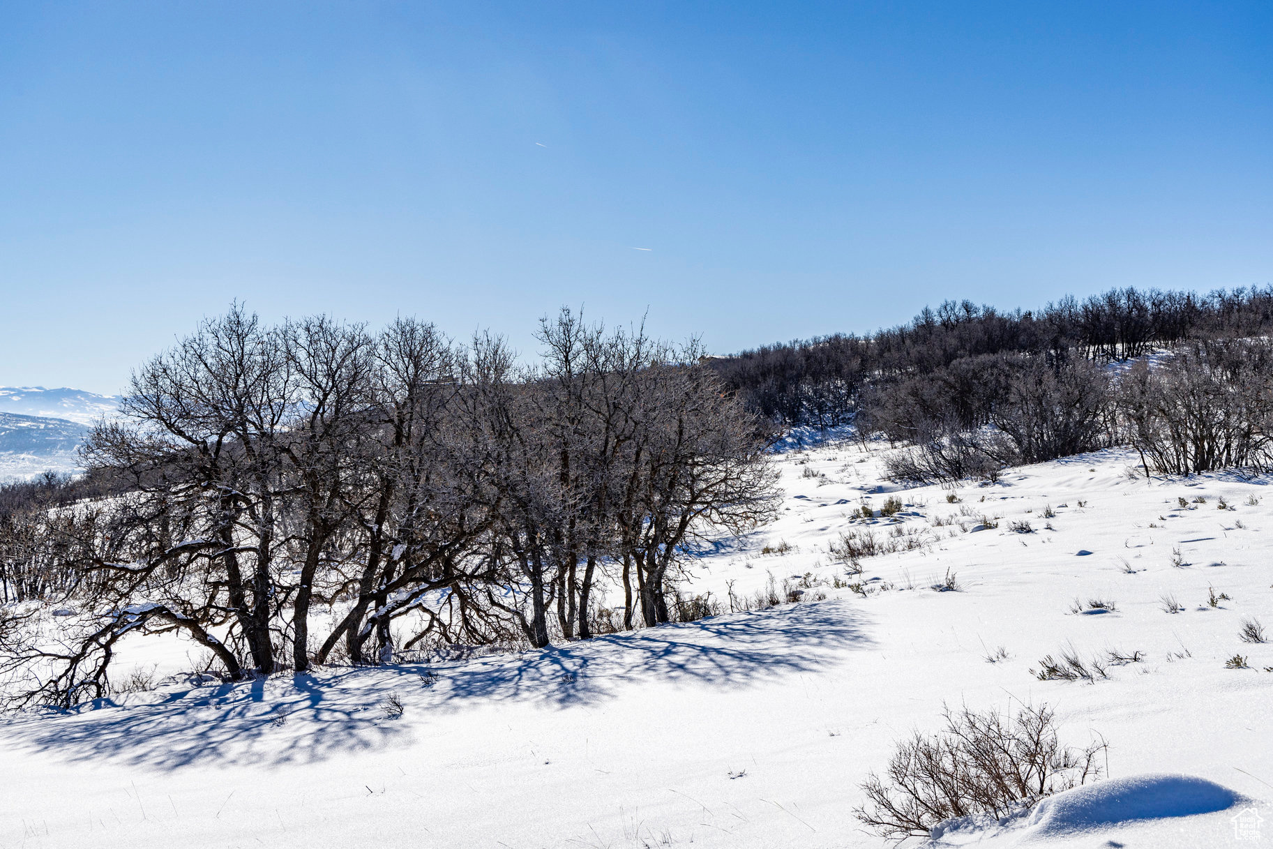 THE RANCHES AT THE PRESERVE - Land