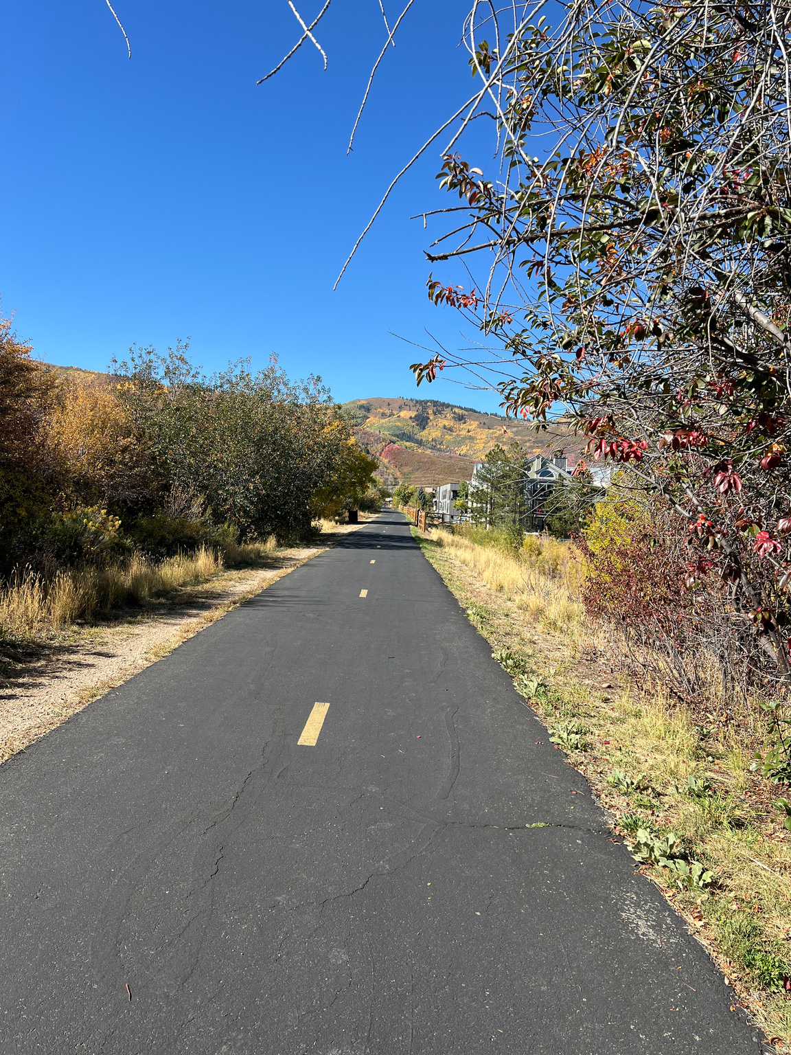 PROSPECTOR SQUARE CONDO - Residential