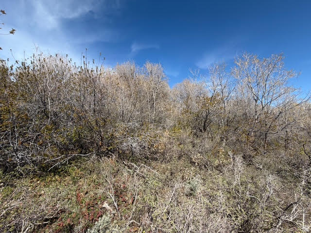 BEAR LAKE WEST SUB 6 - Land