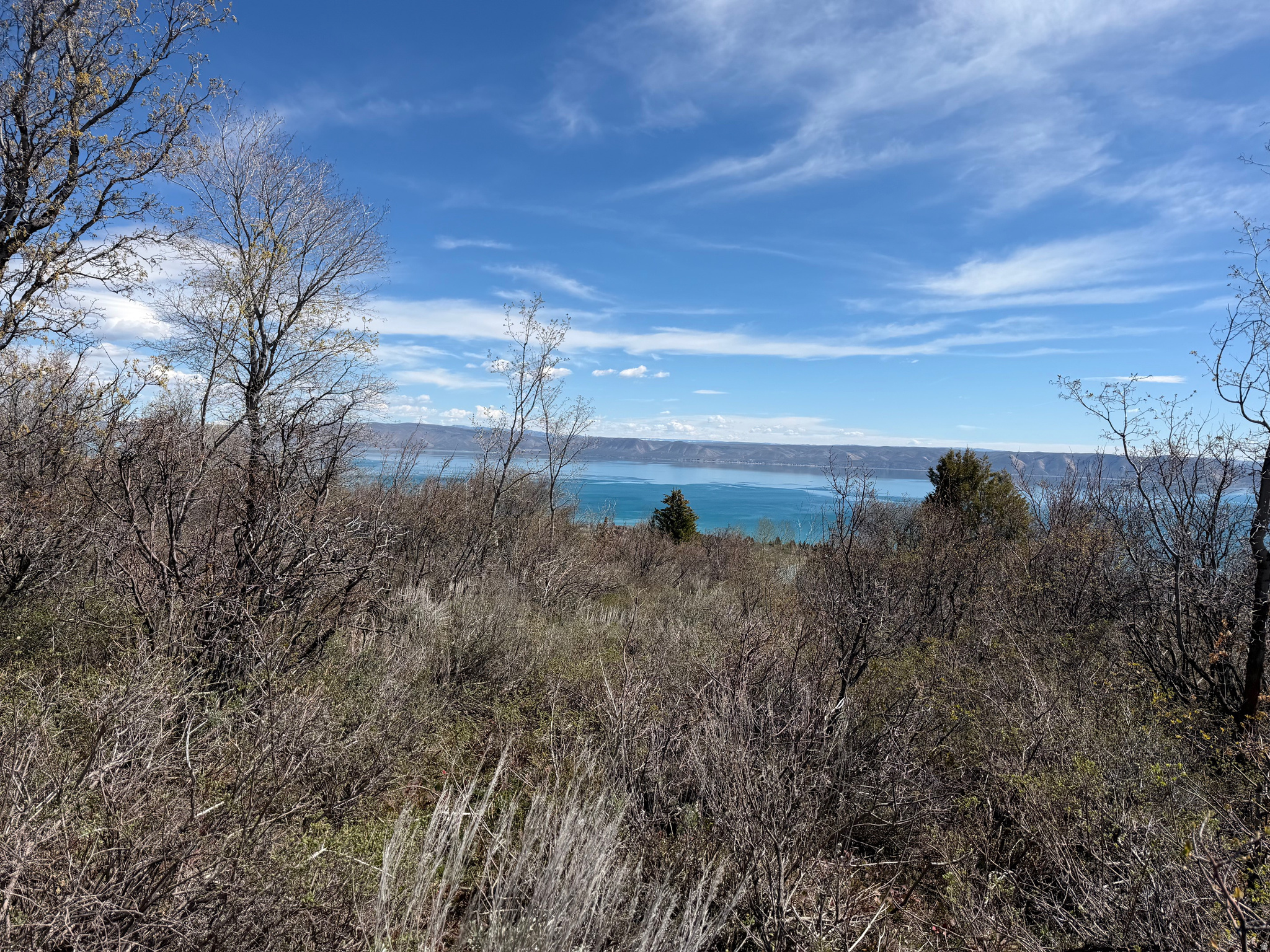 BEAR LAKE WEST SUB 6 - Land