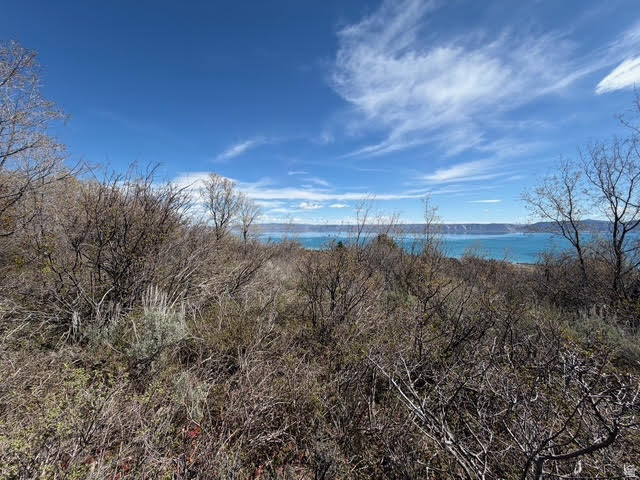 BEAR LAKE WEST SUB 6 - Land