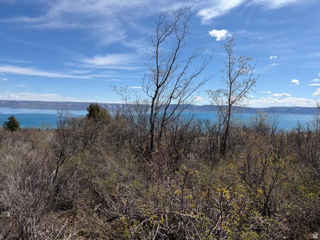 BEAR LAKE WEST SUB 6 - Land