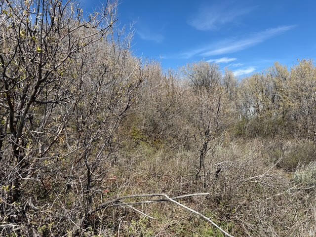 BEAR LAKE WEST SUB 6 - Land