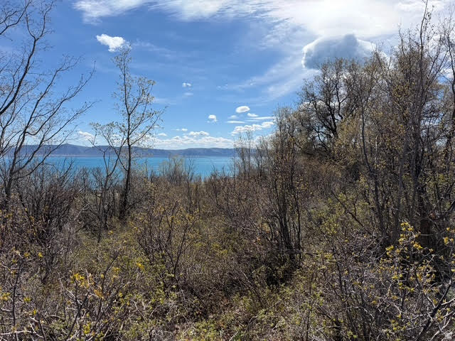 BEAR LAKE WEST SUB 6 - Land