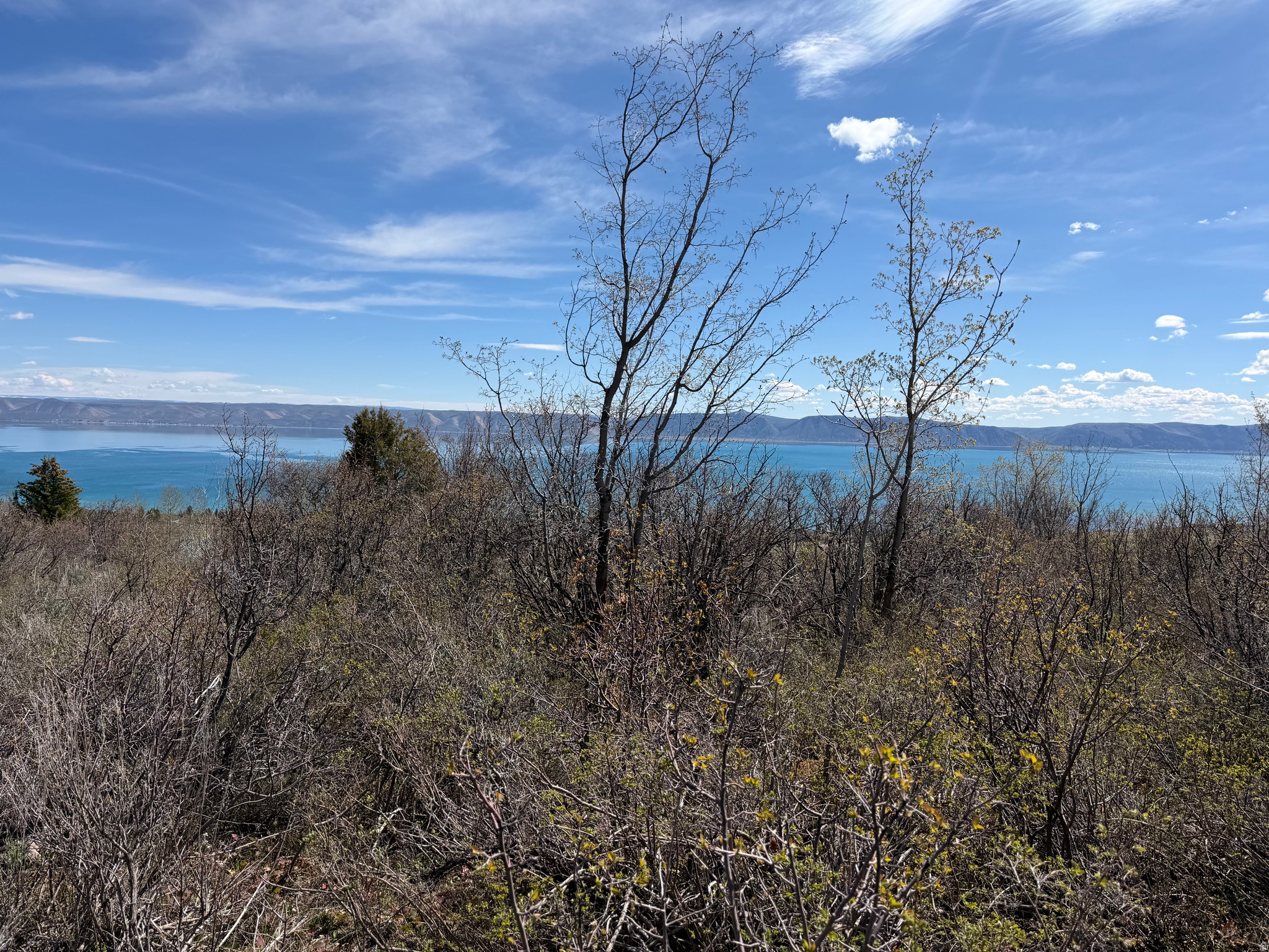 BEAR LAKE WEST SUB 6 - Land