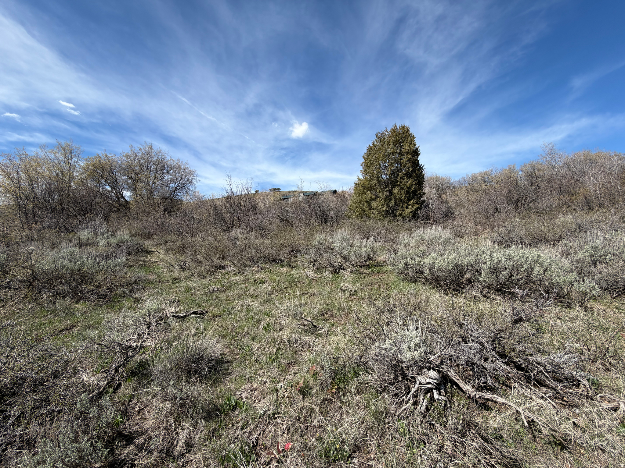 BEAR LAKE WEST SUB 6 - Land