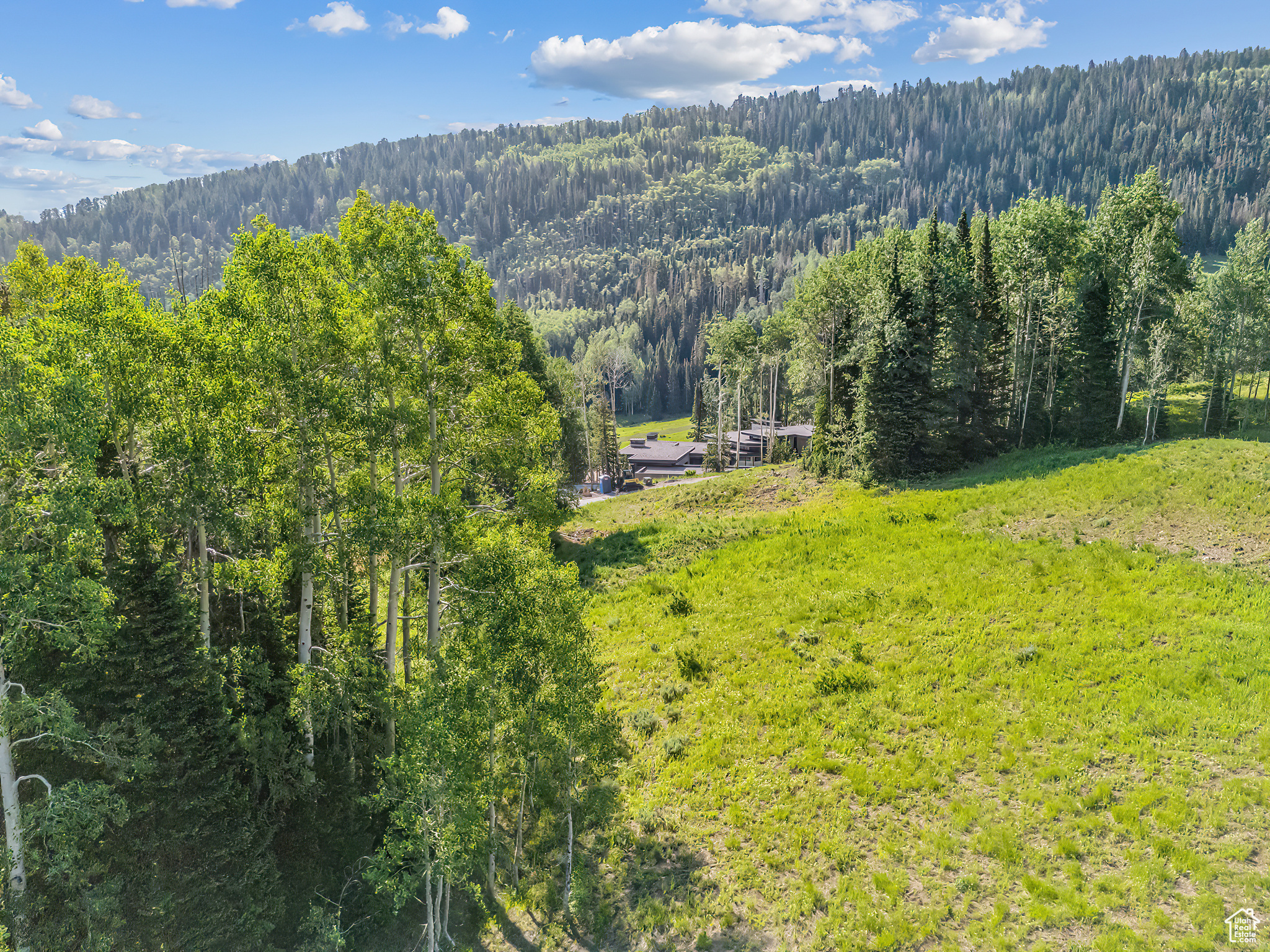 COLONY AT WHITE PINE CANYON - Land