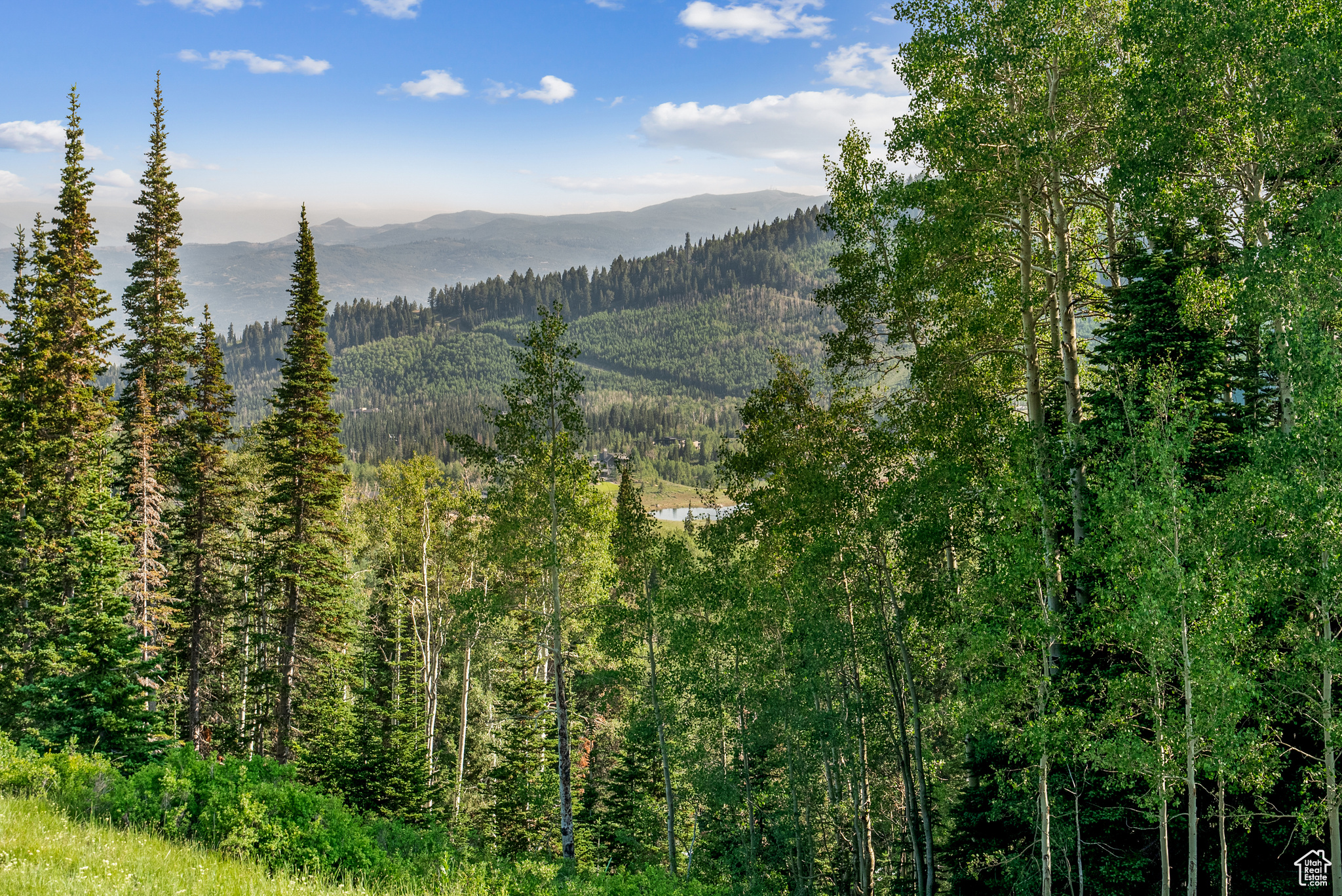 COLONY AT WHITE PINE CANYON - Land