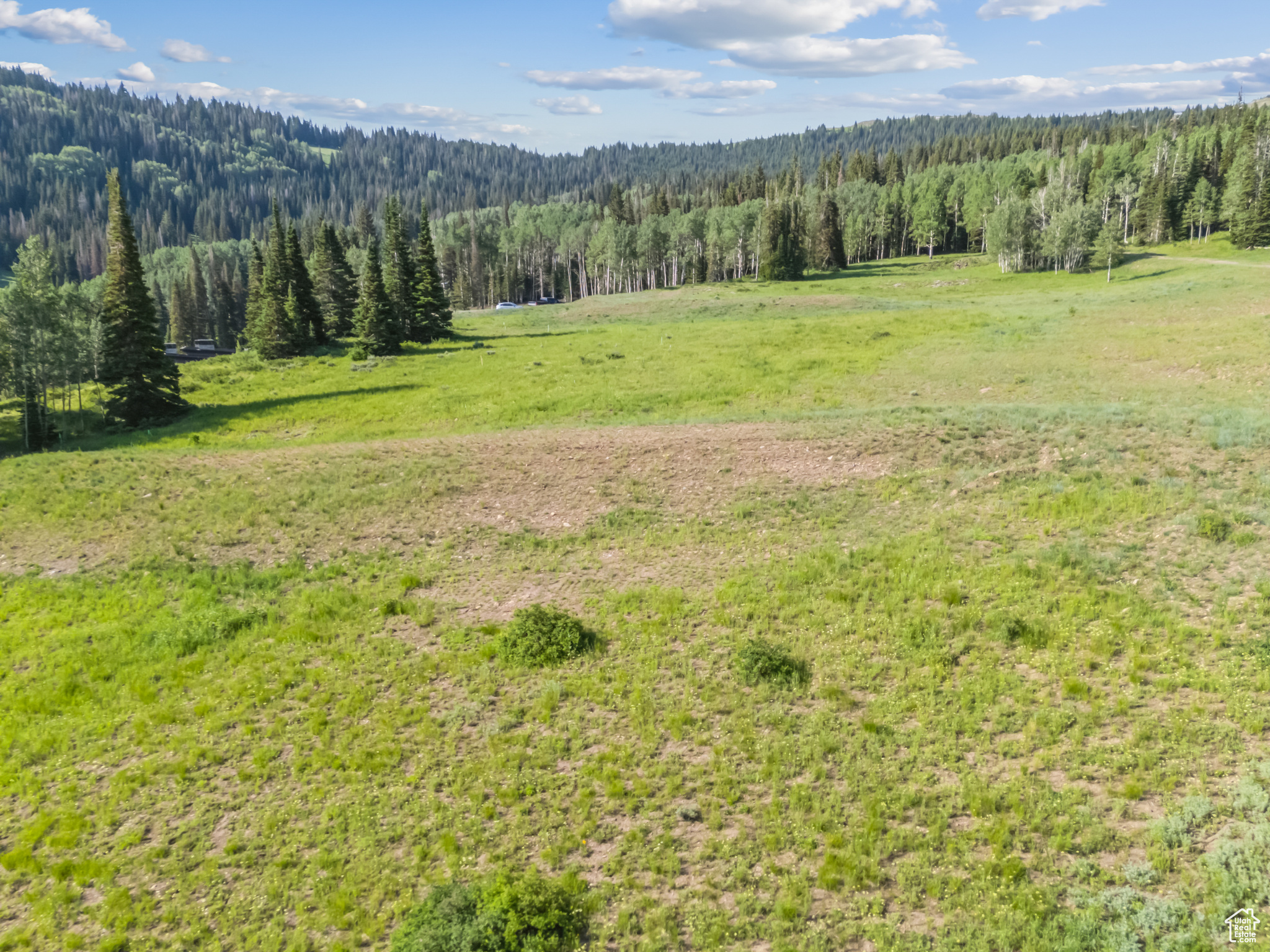COLONY AT WHITE PINE CANYON - Land
