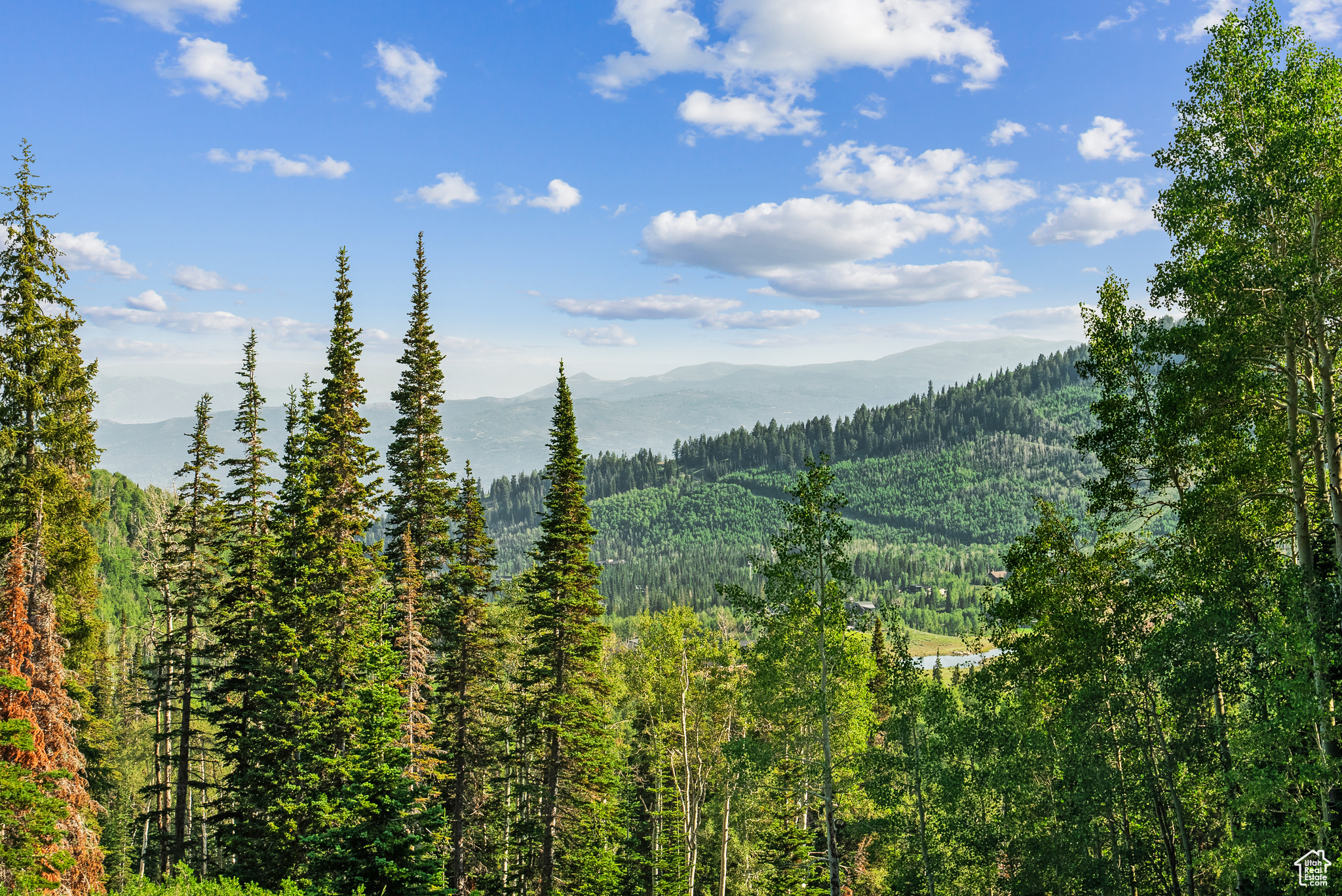 COLONY AT WHITE PINE CANYON - Land