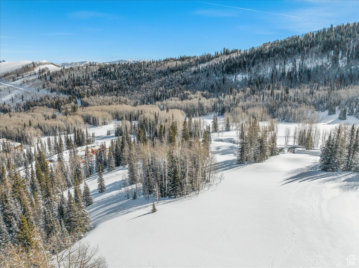 COLONY AT WHITE PINE CANYON - Land