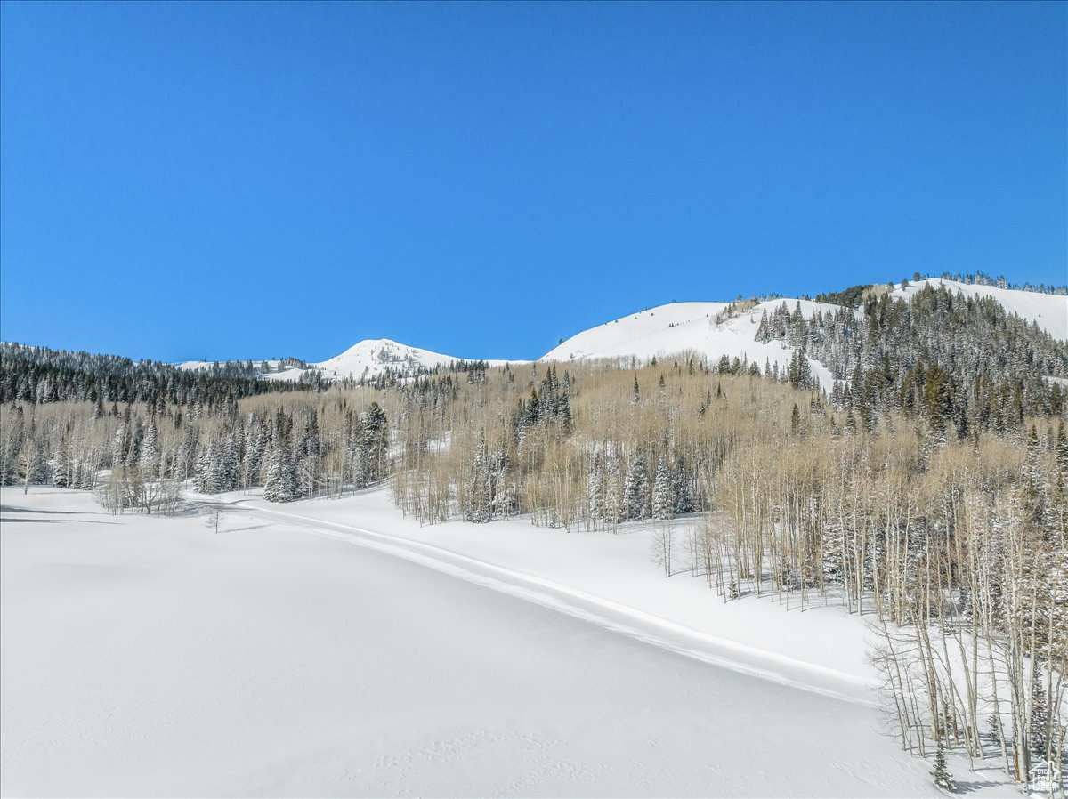 COLONY AT WHITE PINE CANYON - Land