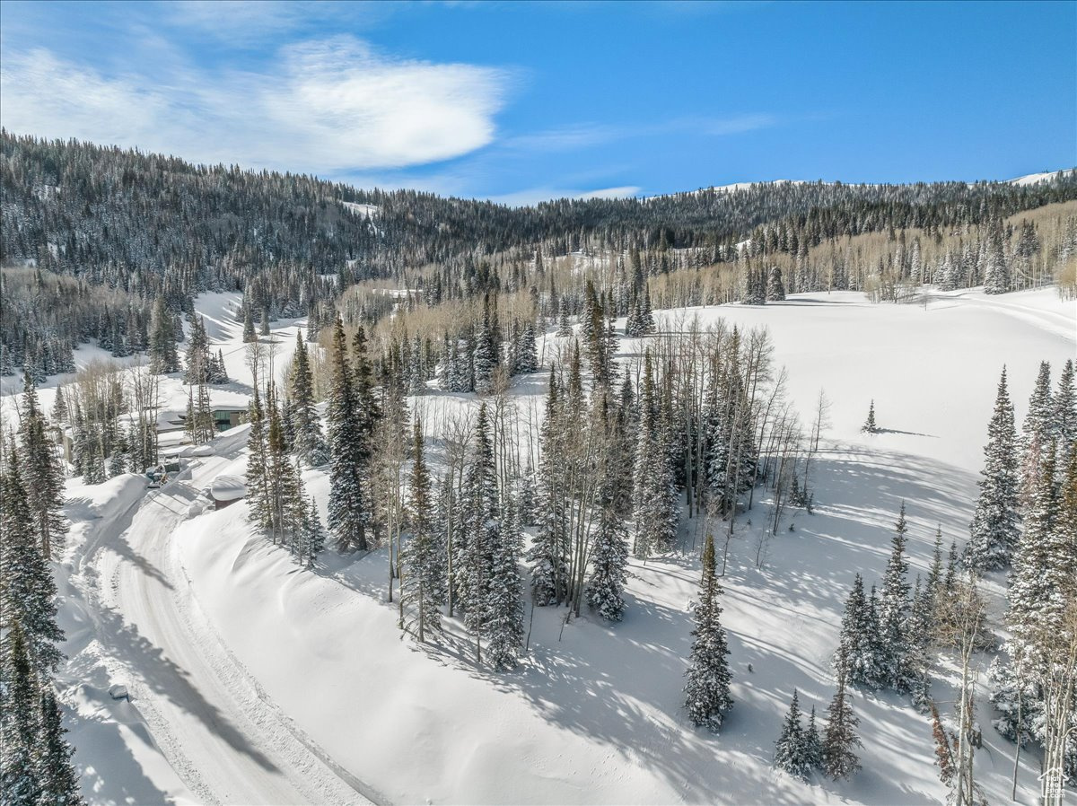 COLONY AT WHITE PINE CANYON - Land