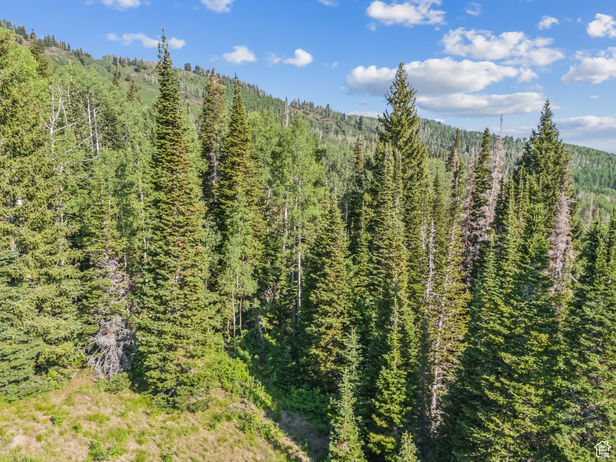 COLONY AT WHITE PINE CANYON - Land