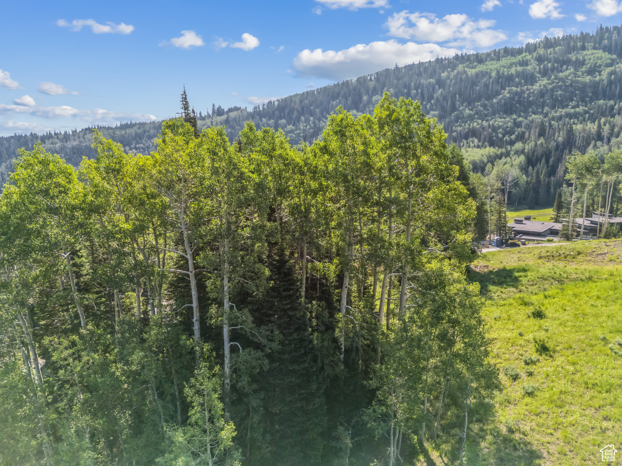 COLONY AT WHITE PINE CANYON - Land