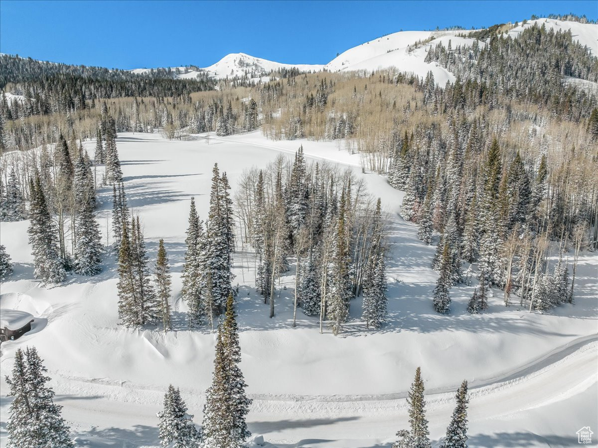 COLONY AT WHITE PINE CANYON - Land