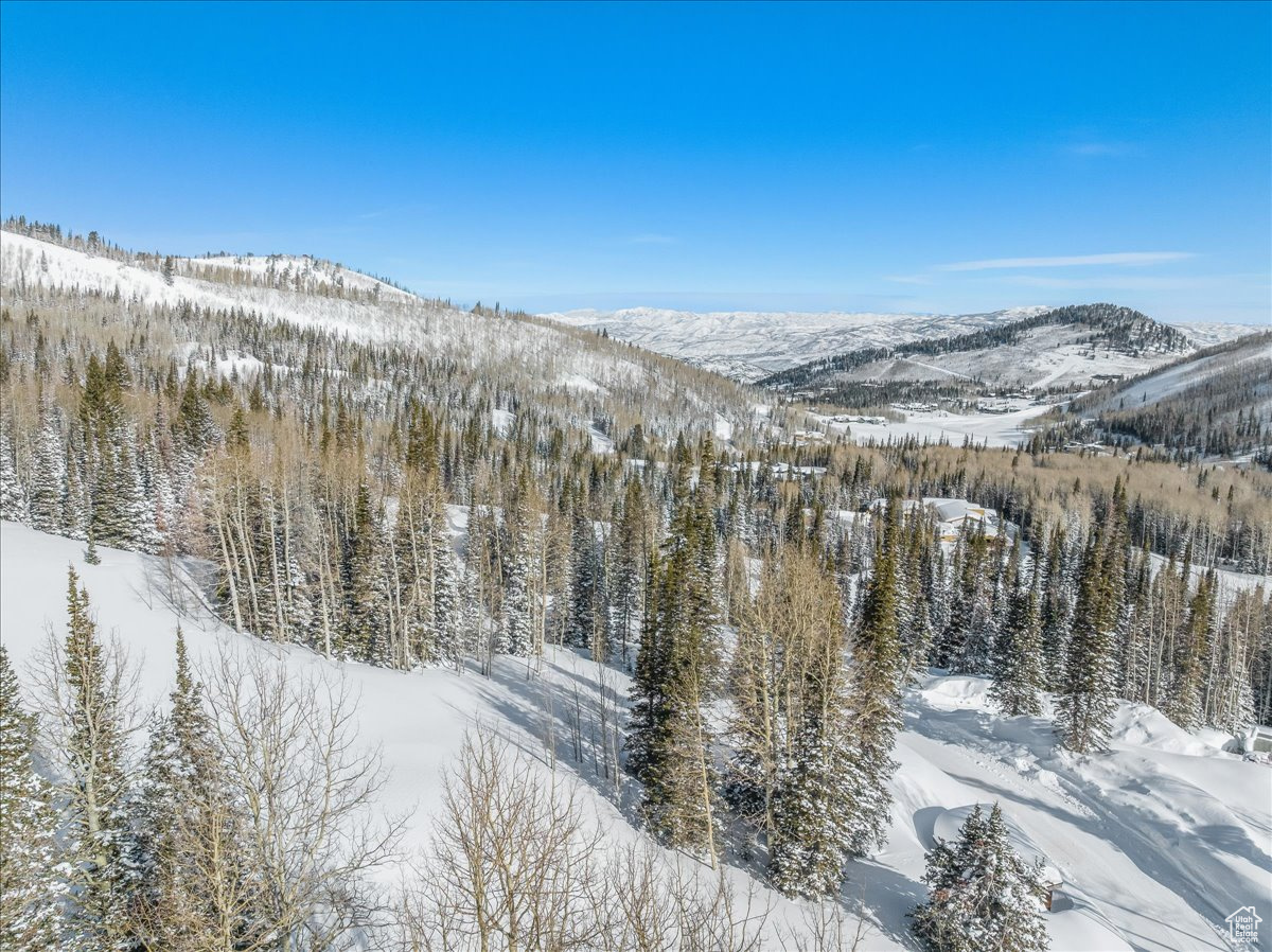 COLONY AT WHITE PINE CANYON - Land