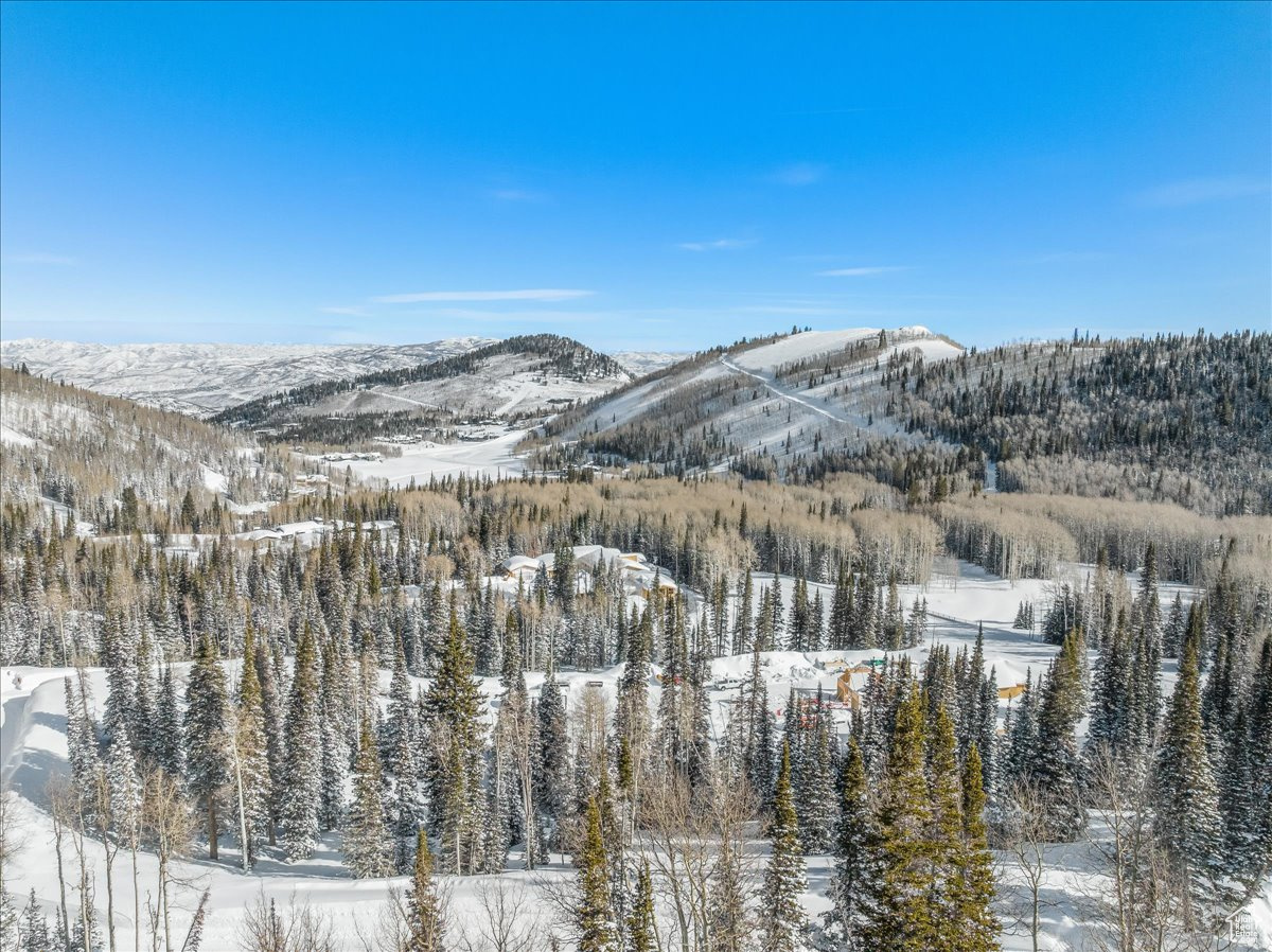 COLONY AT WHITE PINE CANYON - Land