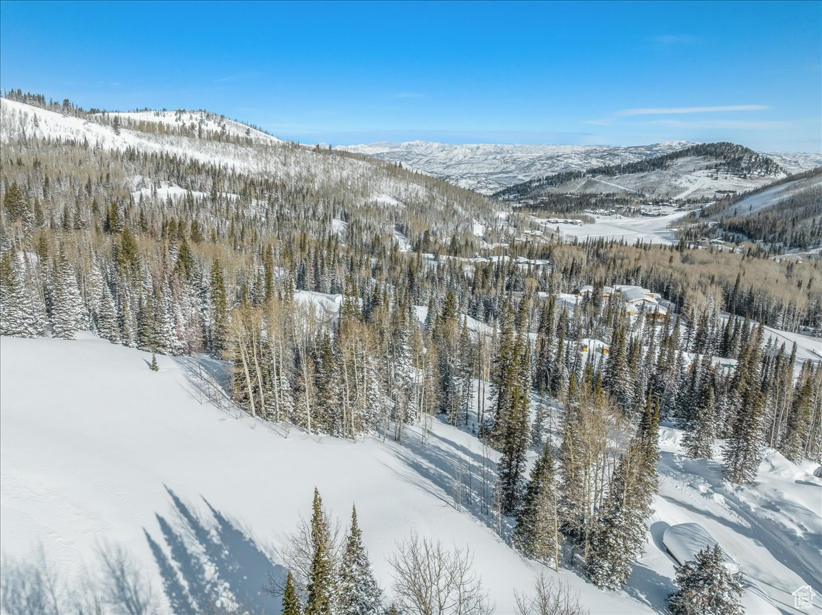 COLONY AT WHITE PINE CANYON - Land