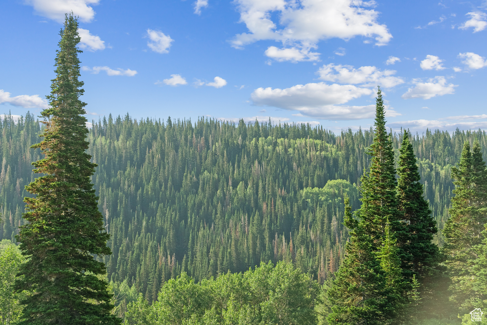 COLONY AT WHITE PINE CANYON - Land