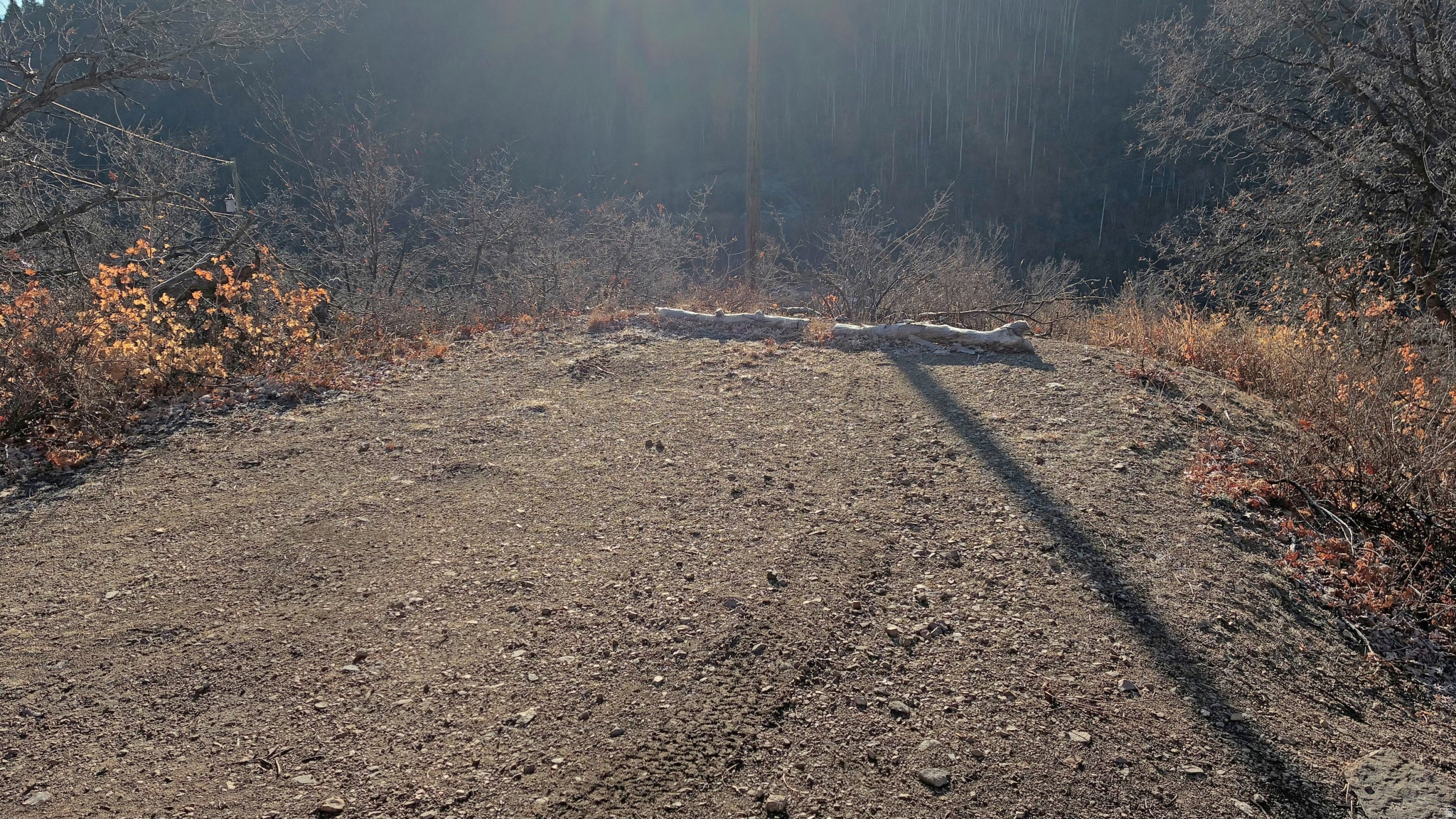 OAK HAVEN - Residential