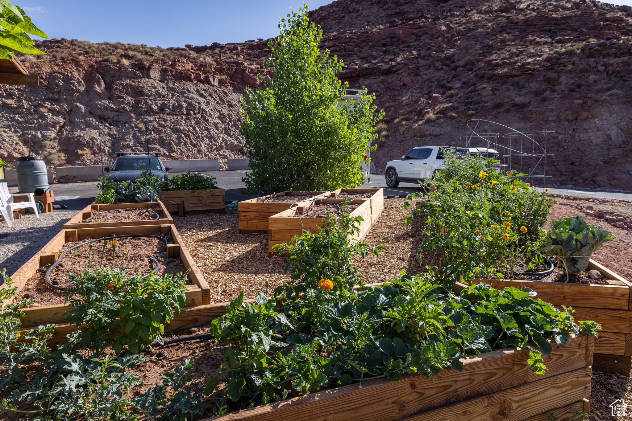 1185 S Murphy Ln #201A, Moab, Utah image 20