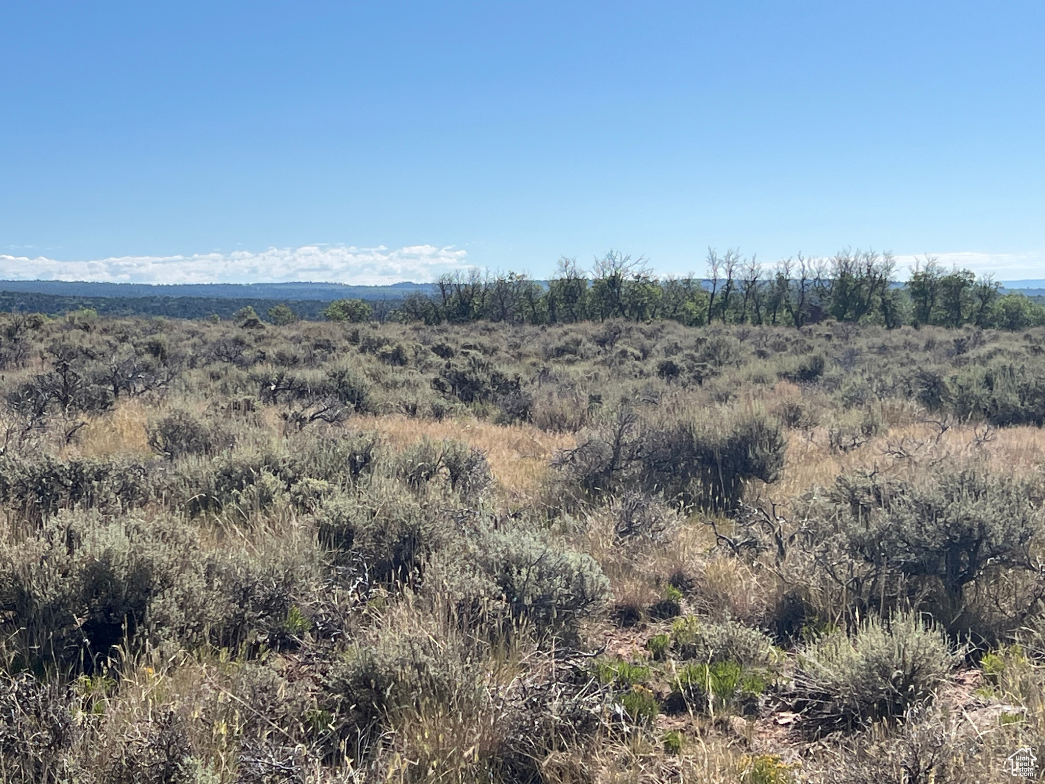 DEER HAVEN PARK SUBDIVISION - Land