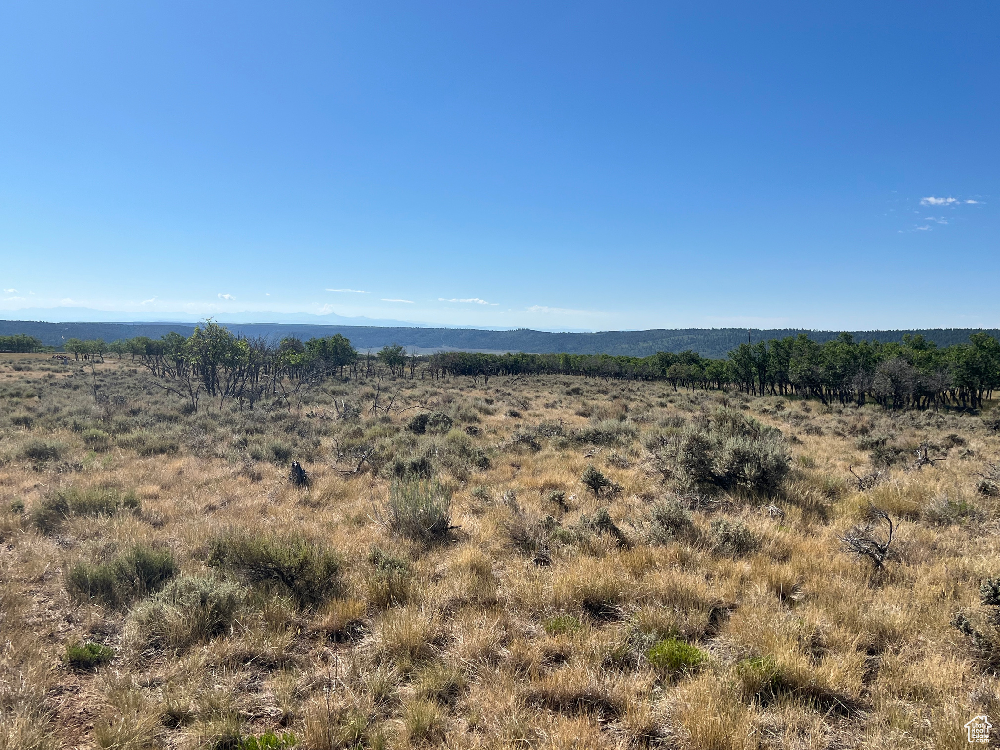 DEER HAVEN PARK SUBDIVISION - Land