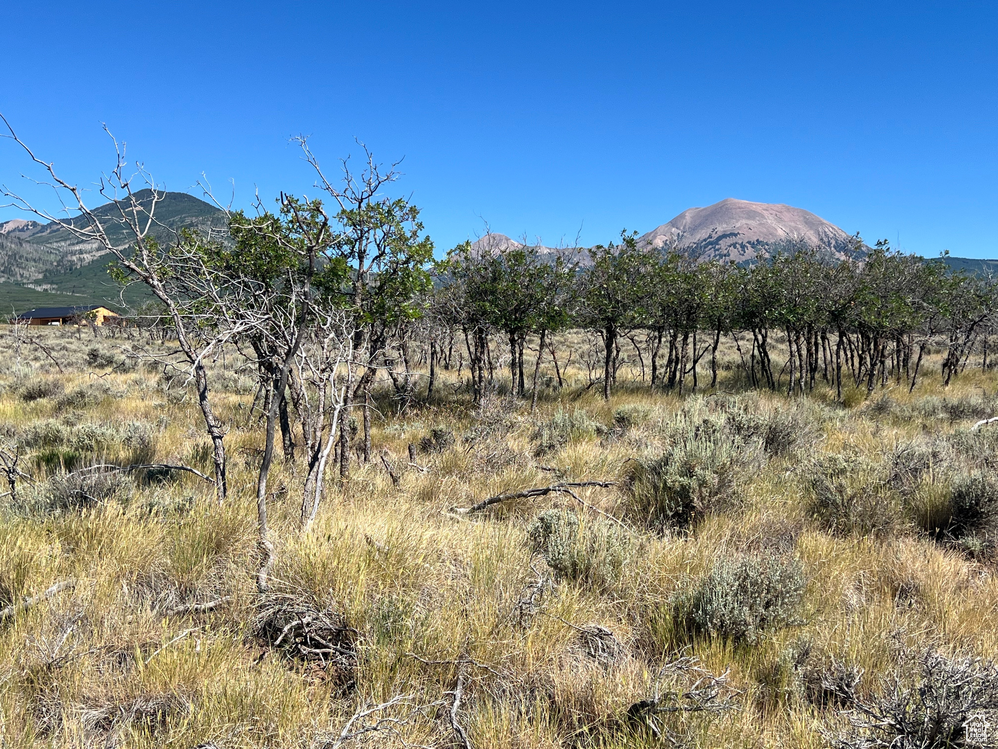 DEER HAVEN PARK SUBDIVISION - Land