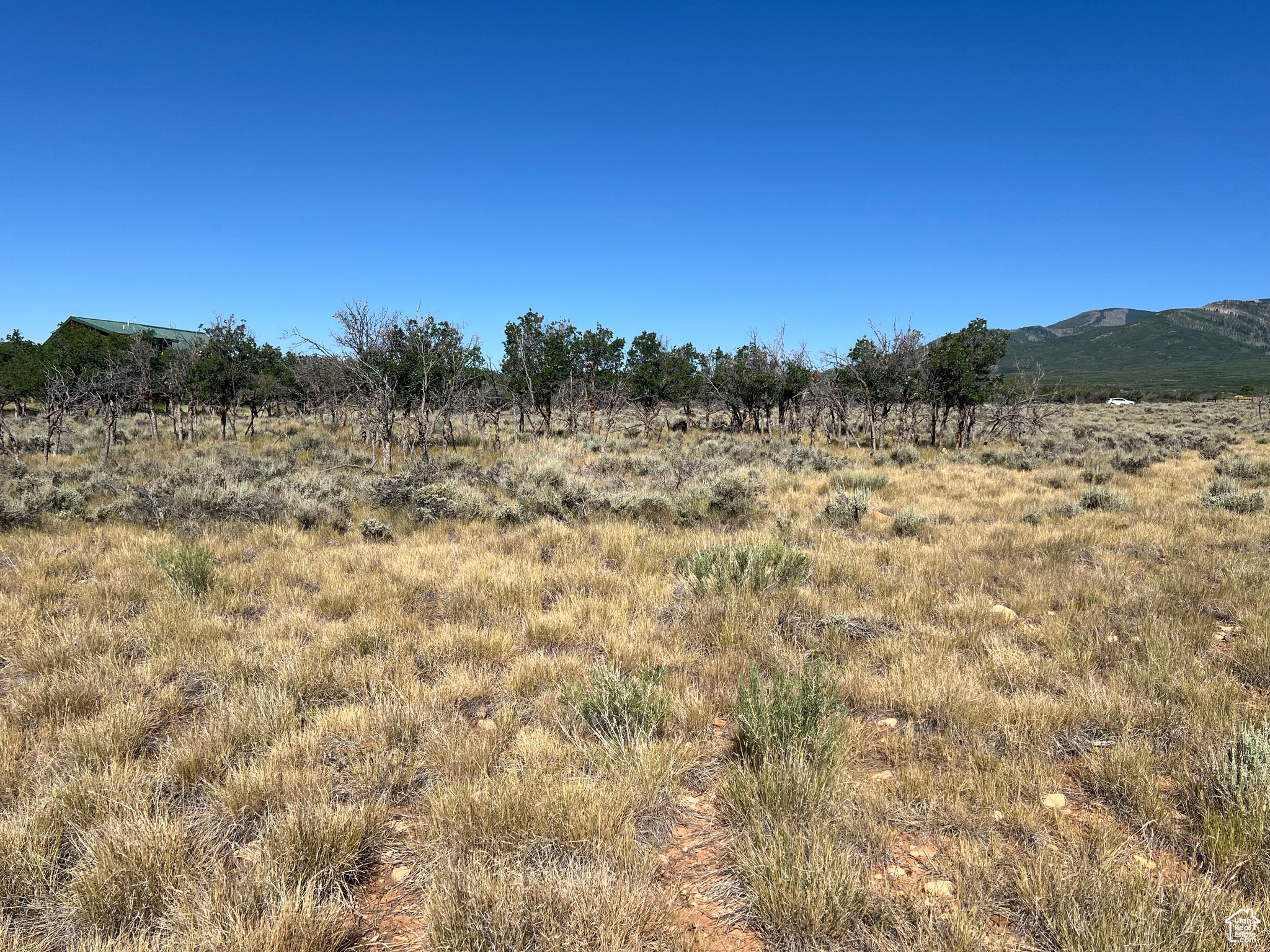 DEER HAVEN PARK SUBDIVISION - Land