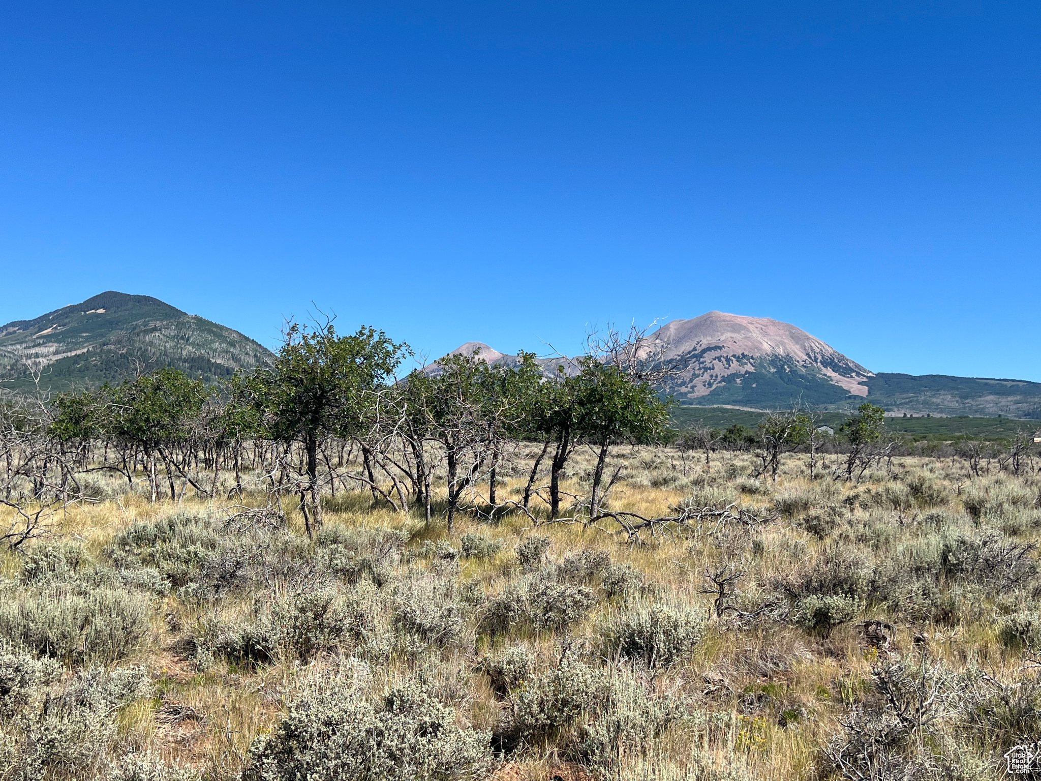 DEER HAVEN PARK SUBDIVISION - Land