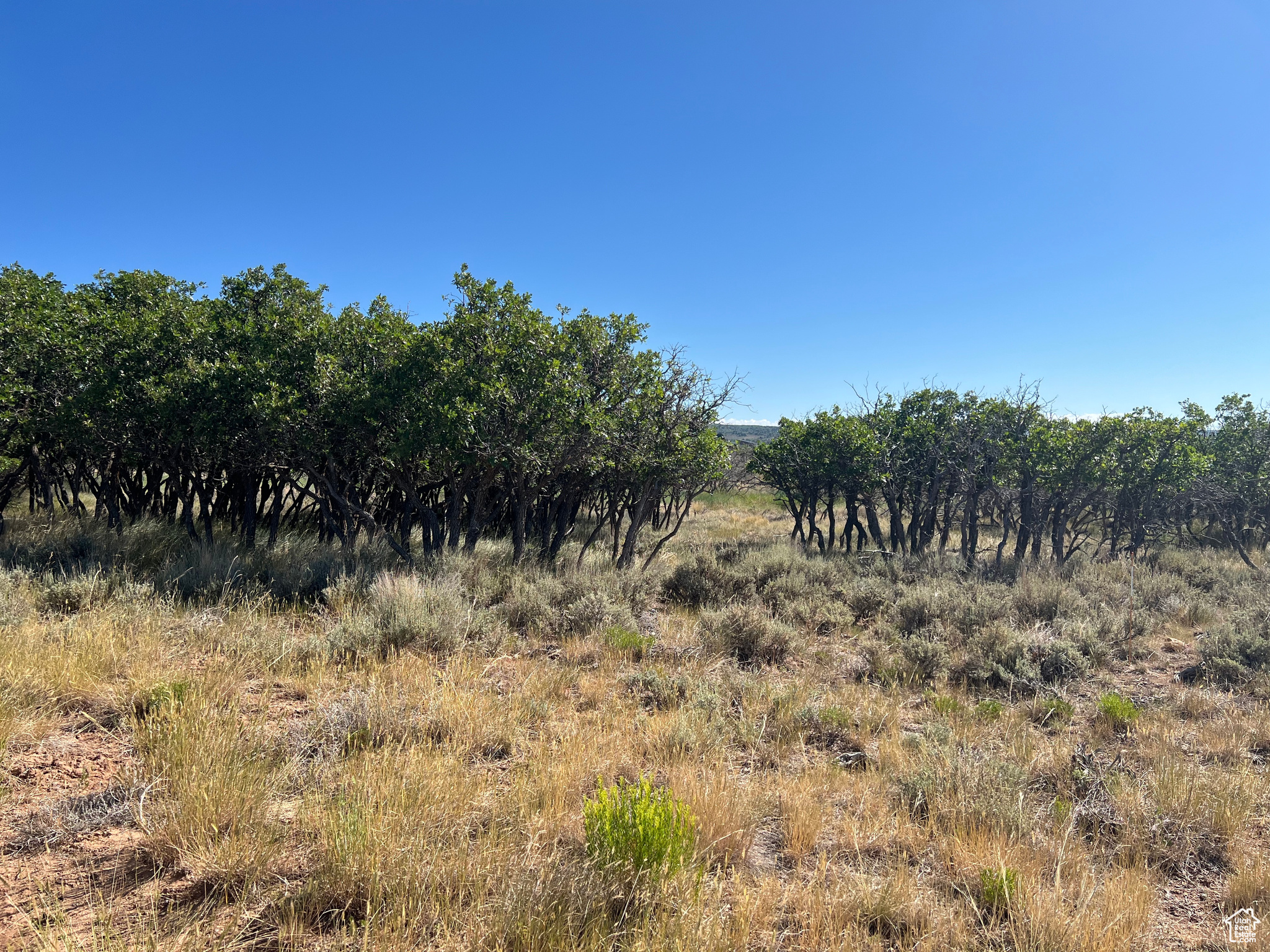 DEER HAVEN PARK SUBDIVISION - Land