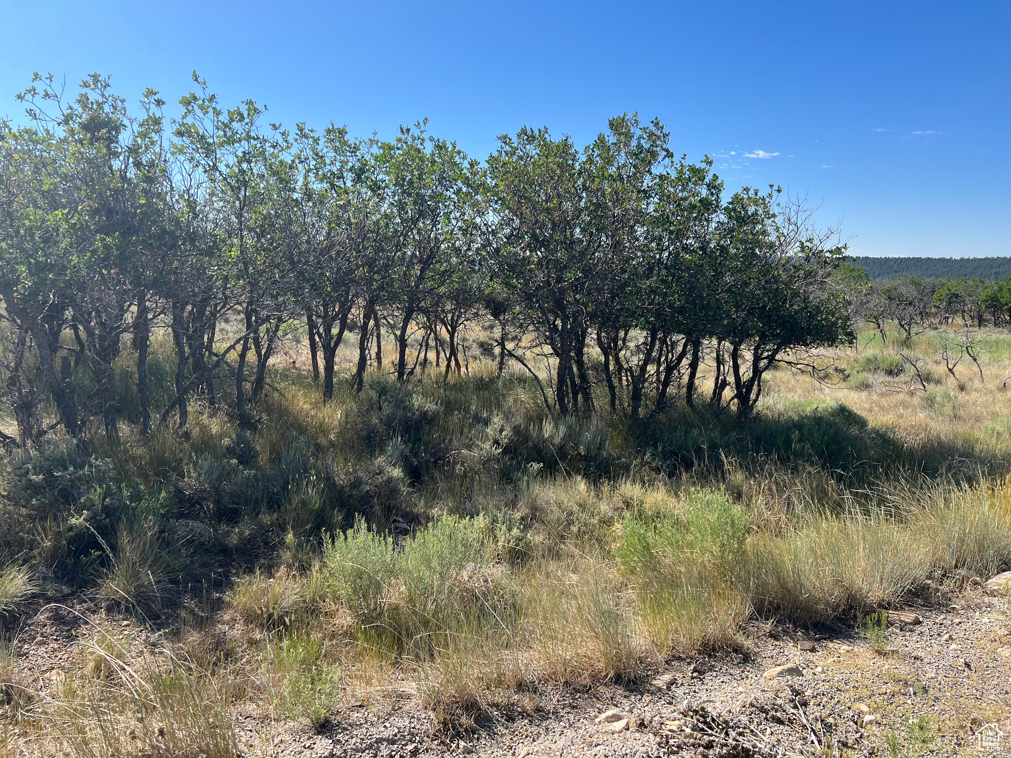 DEER HAVEN PARK SUBDIVISION - Land