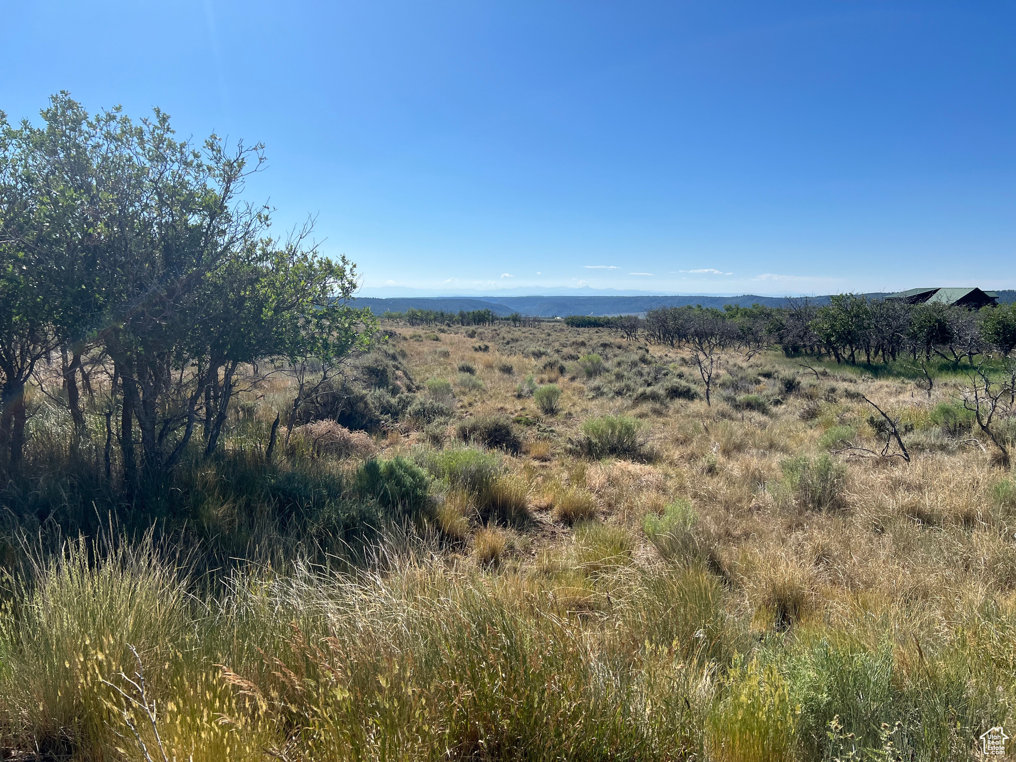 DEER HAVEN PARK SUBDIVISION - Land