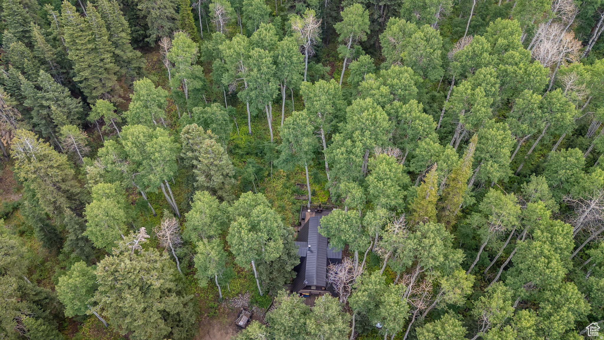TIMBER LAKES - Residential