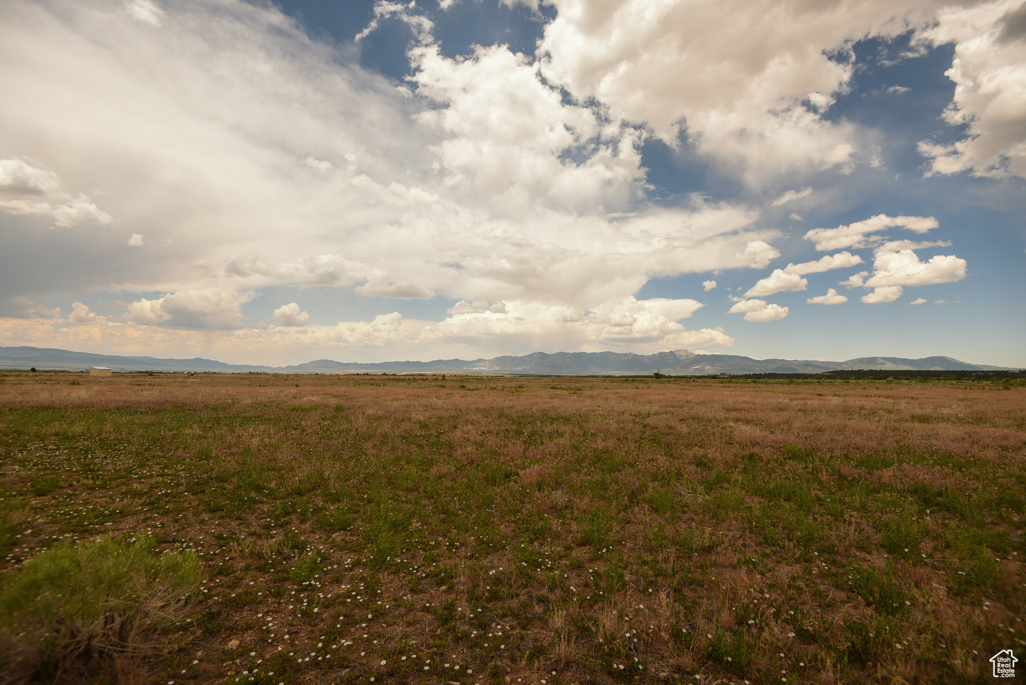 MINERAL VIEW ESTATES - Land