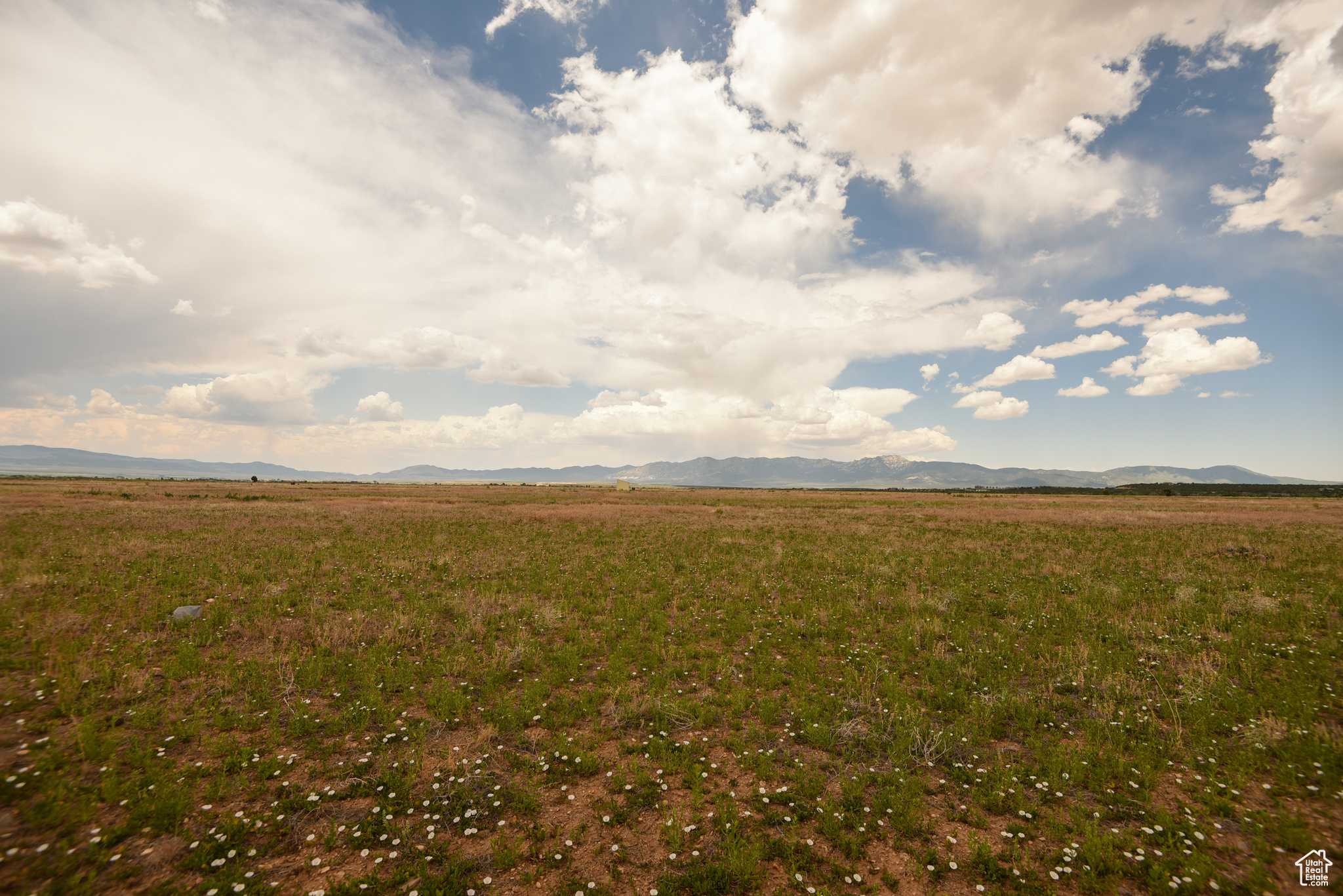 MINERAL VIEW ESTATES - Land