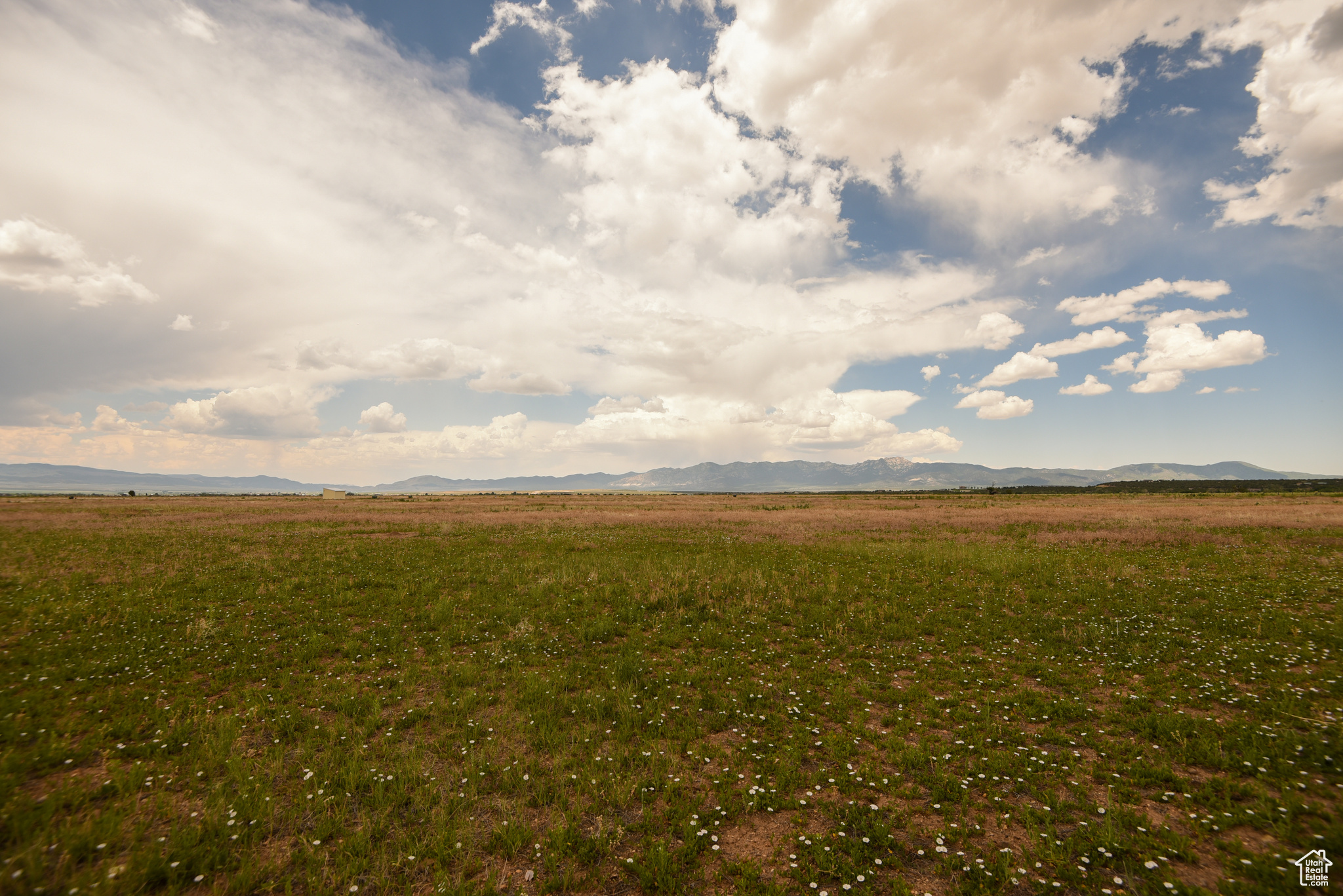 MINERAL VIEW ESTATES - Land