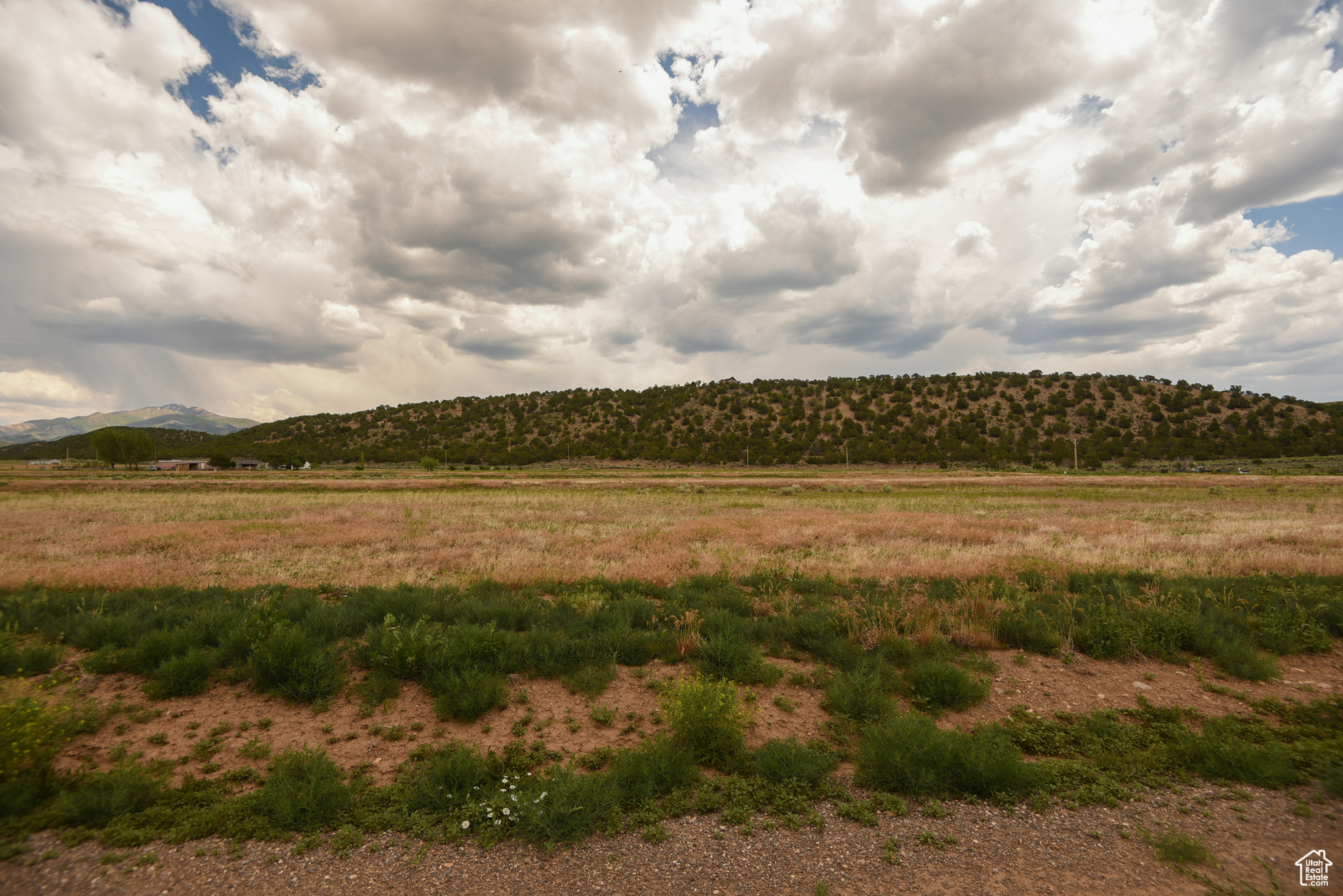 MINERAL VIEW ESTATES - Land